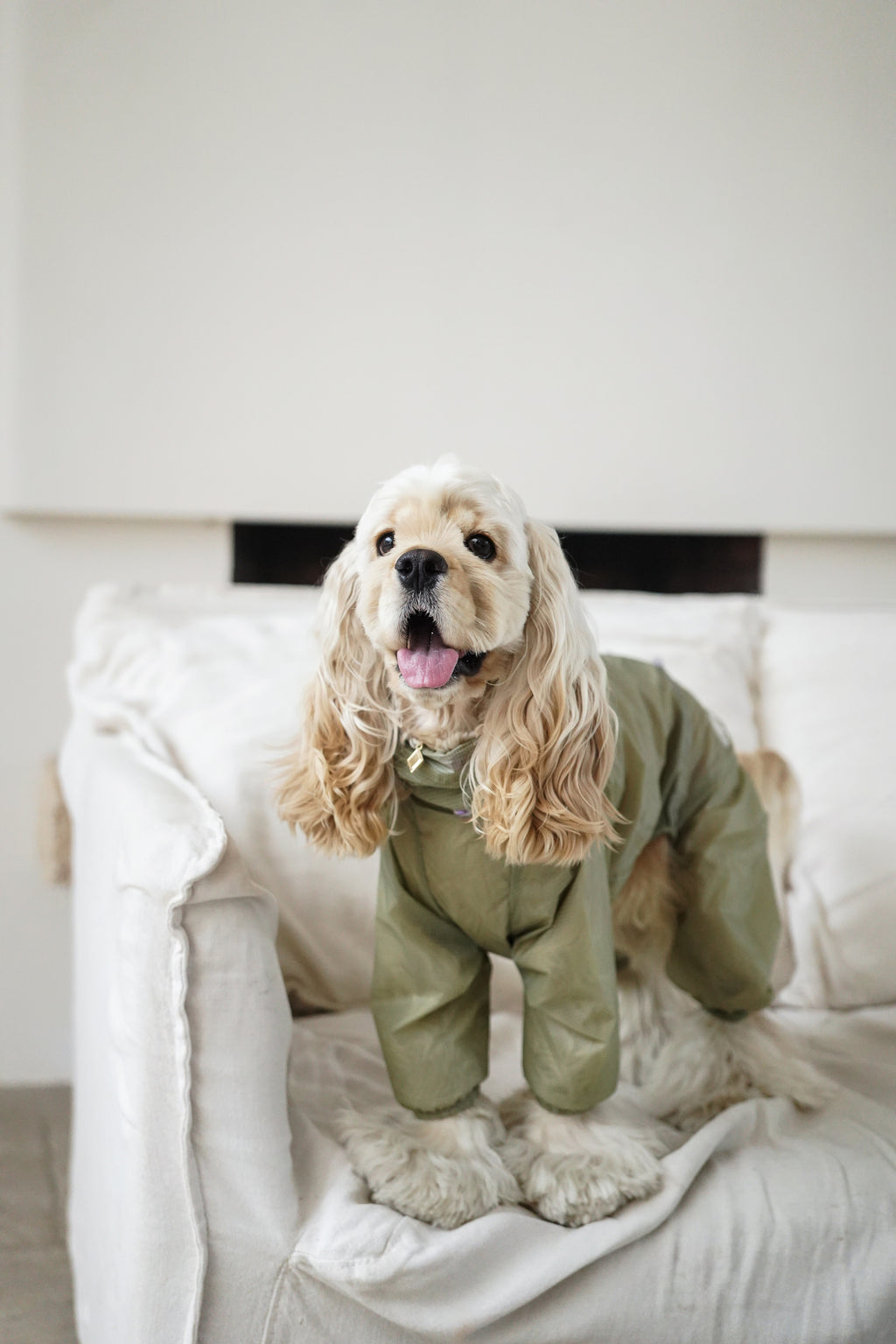 Light Shield Rain Jacket