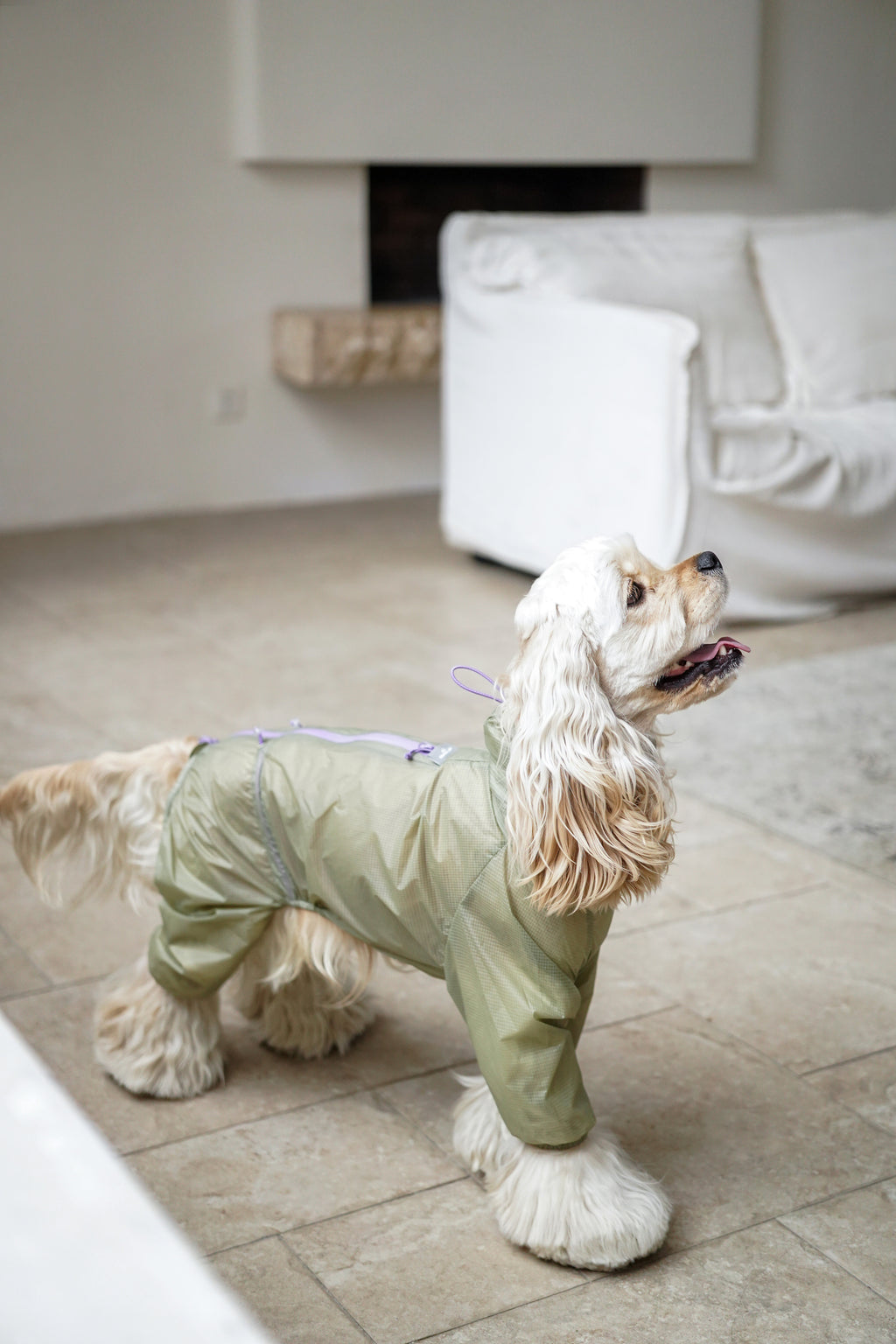 Light Shield Rain Jacket