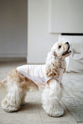 Air Cooling Vest