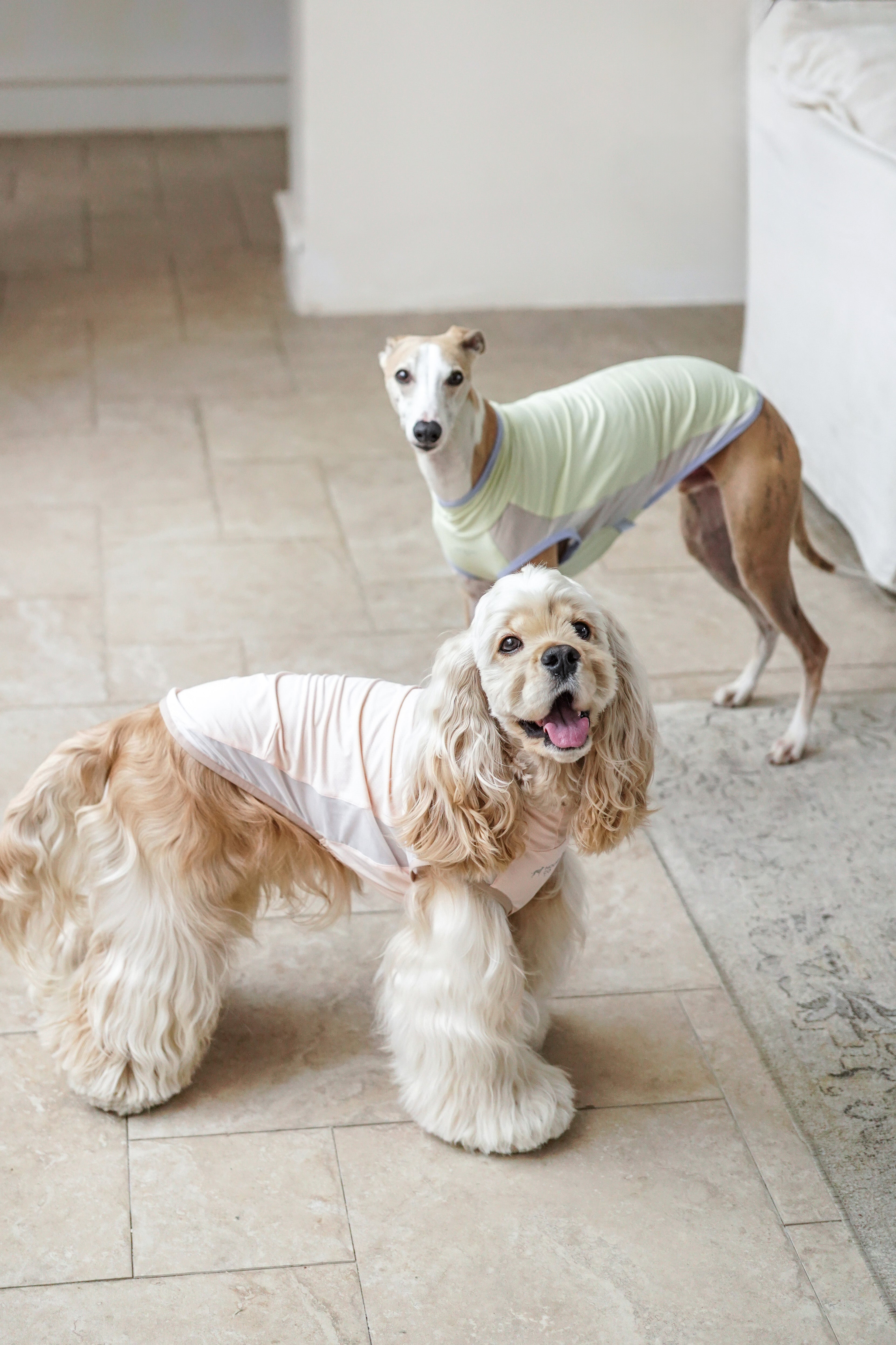 Air Cooling Vest