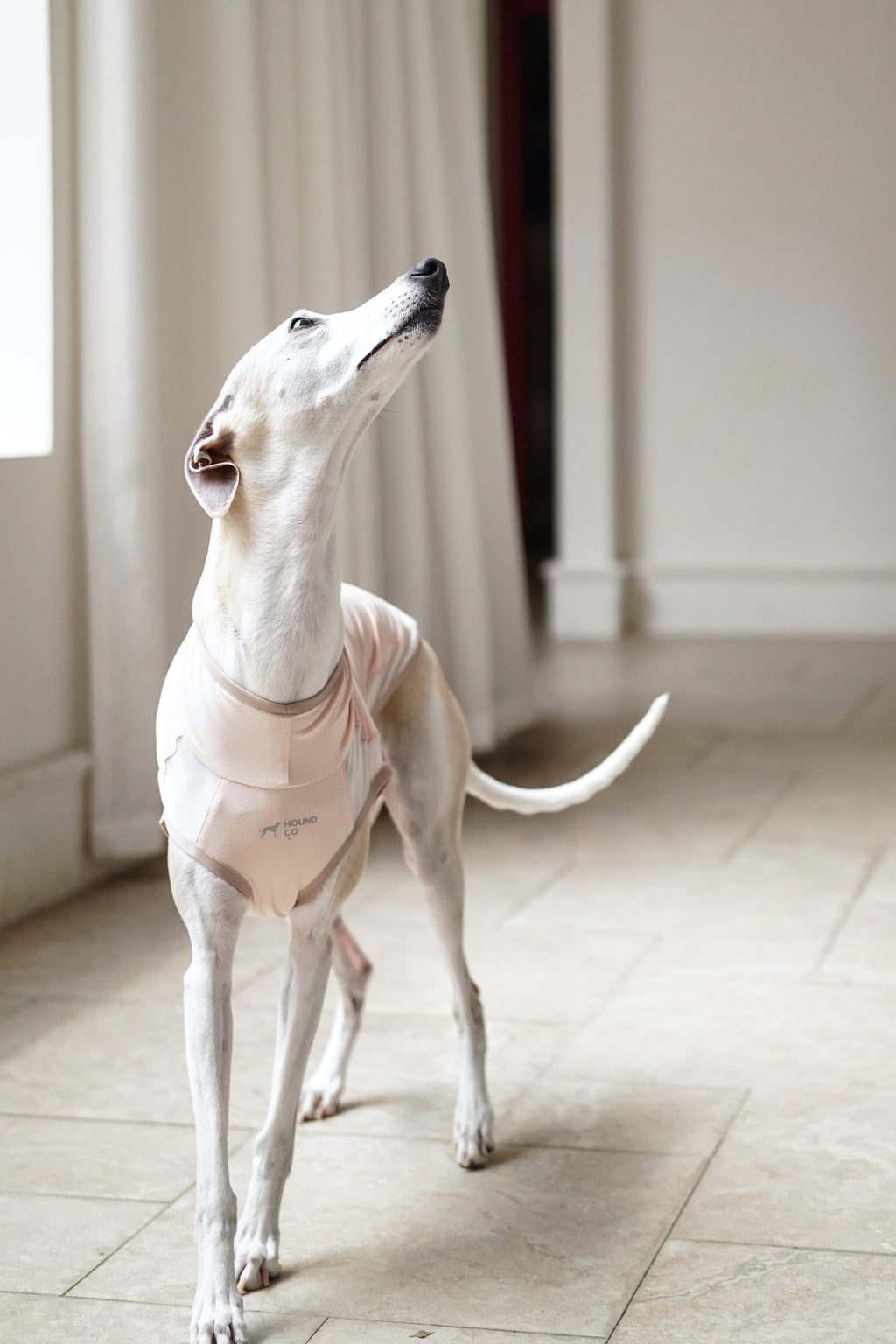 Air Cooling Vest