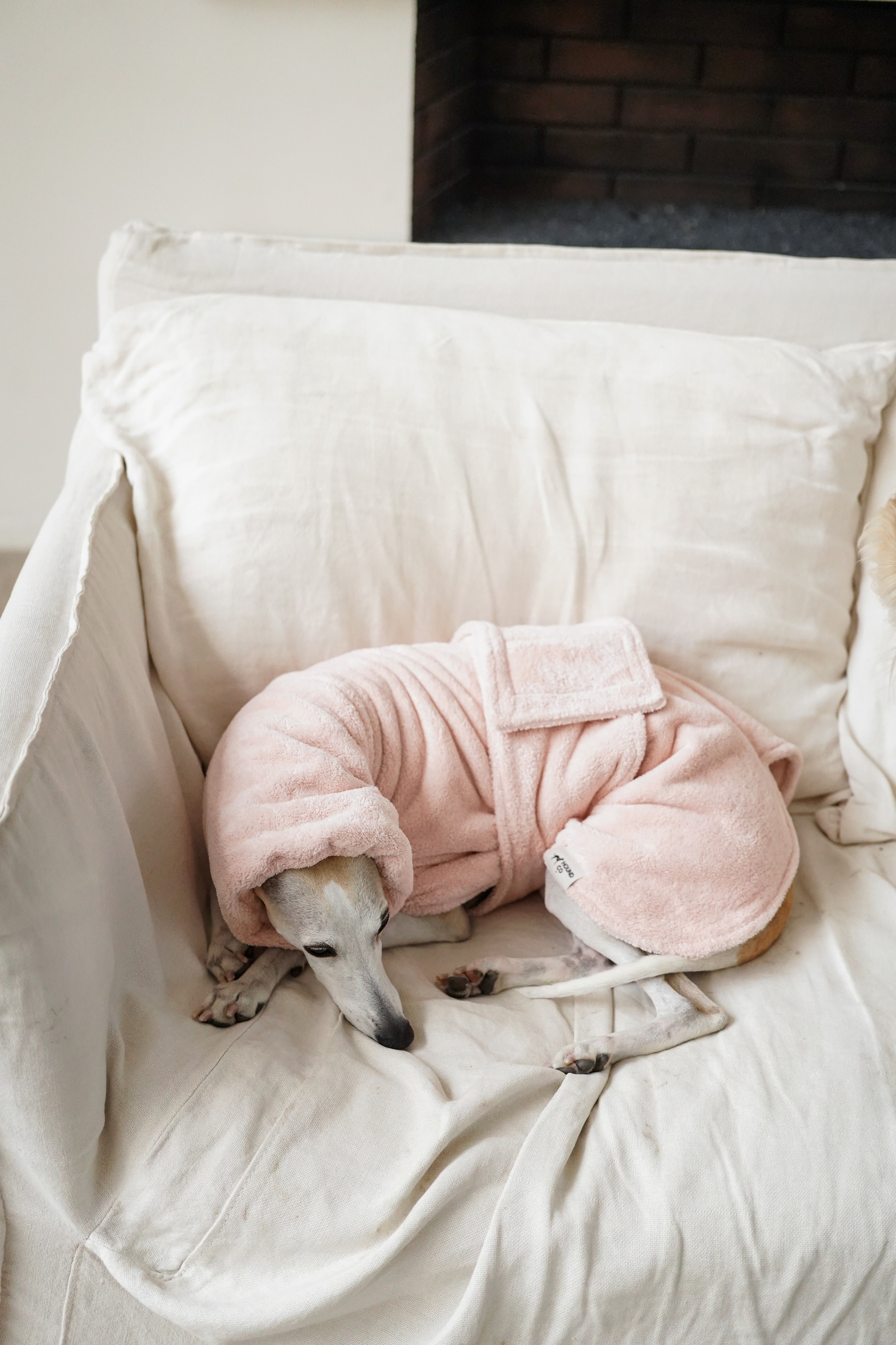Plush Quick Dry Bath Robe