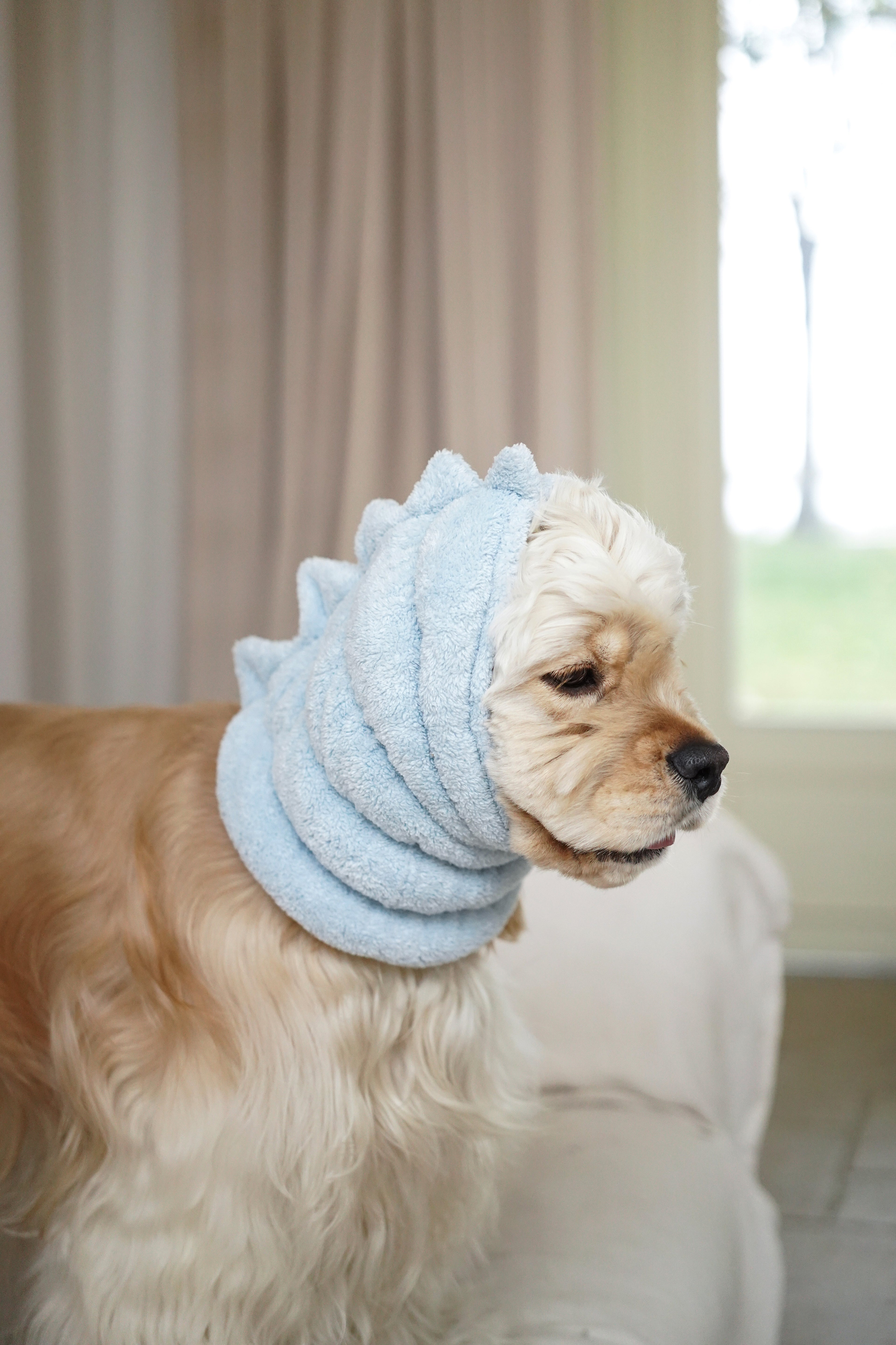 Noise-Reduction Pet Hood