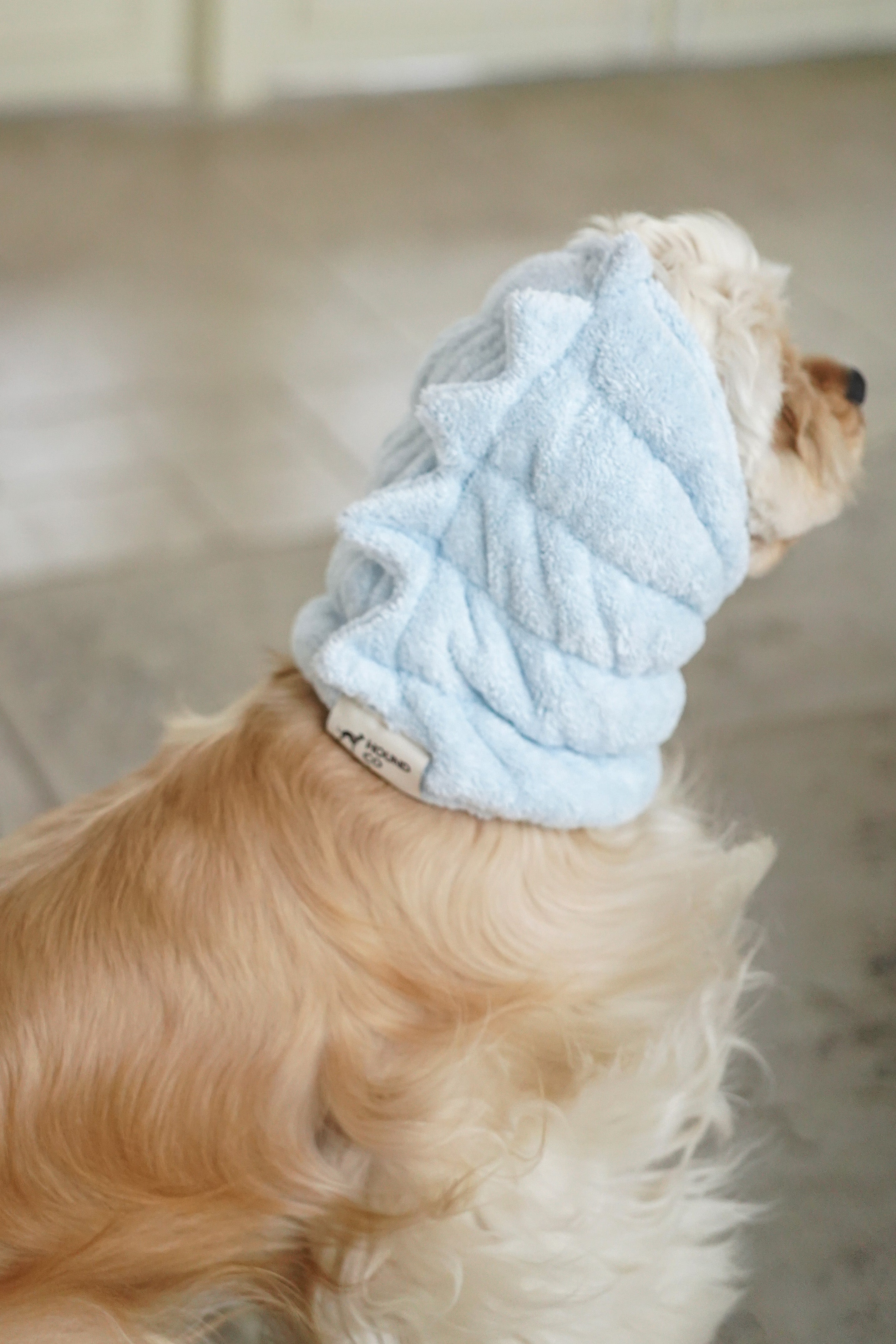 Noise-Reduction Pet Hood