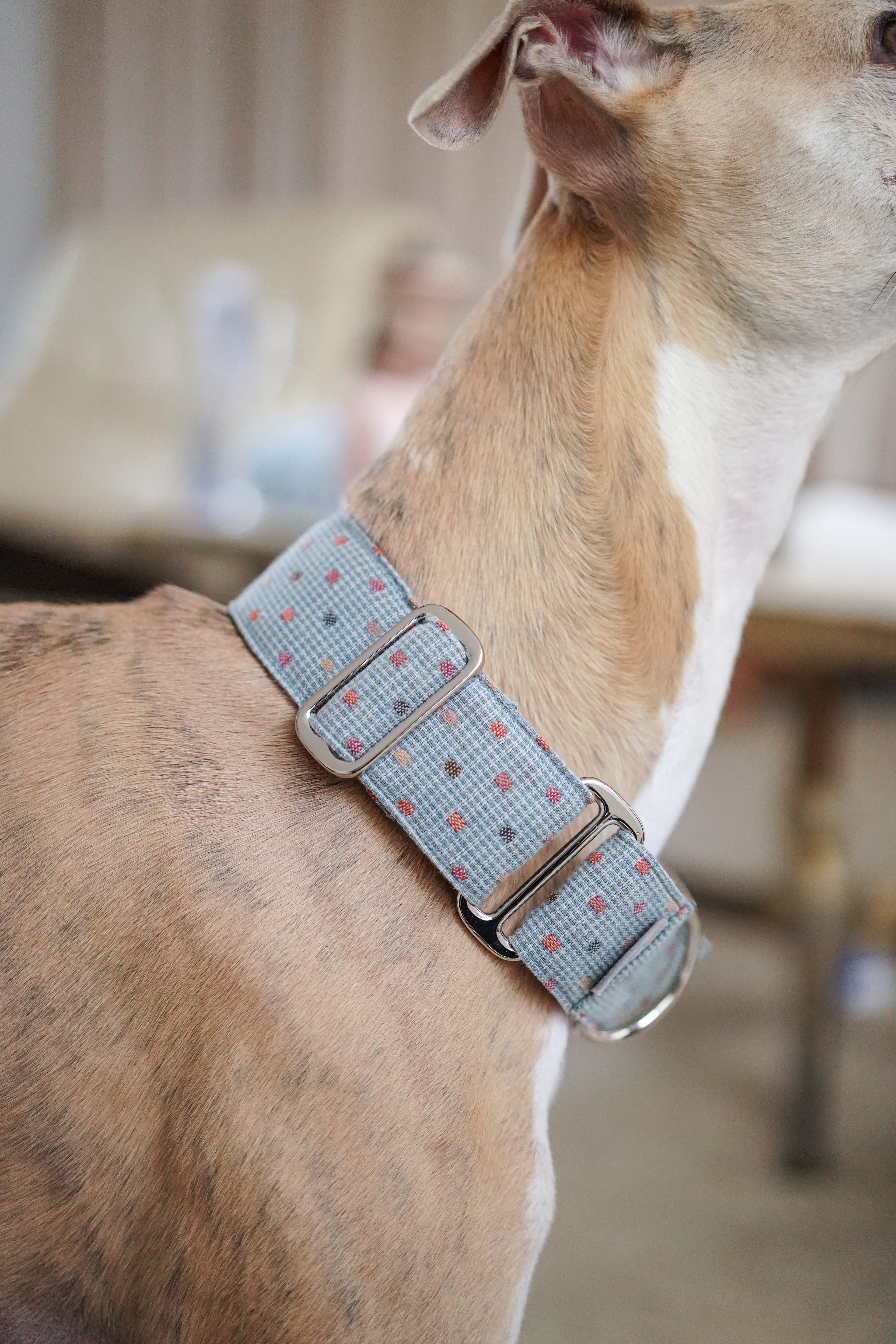 Martingale Collar Sky