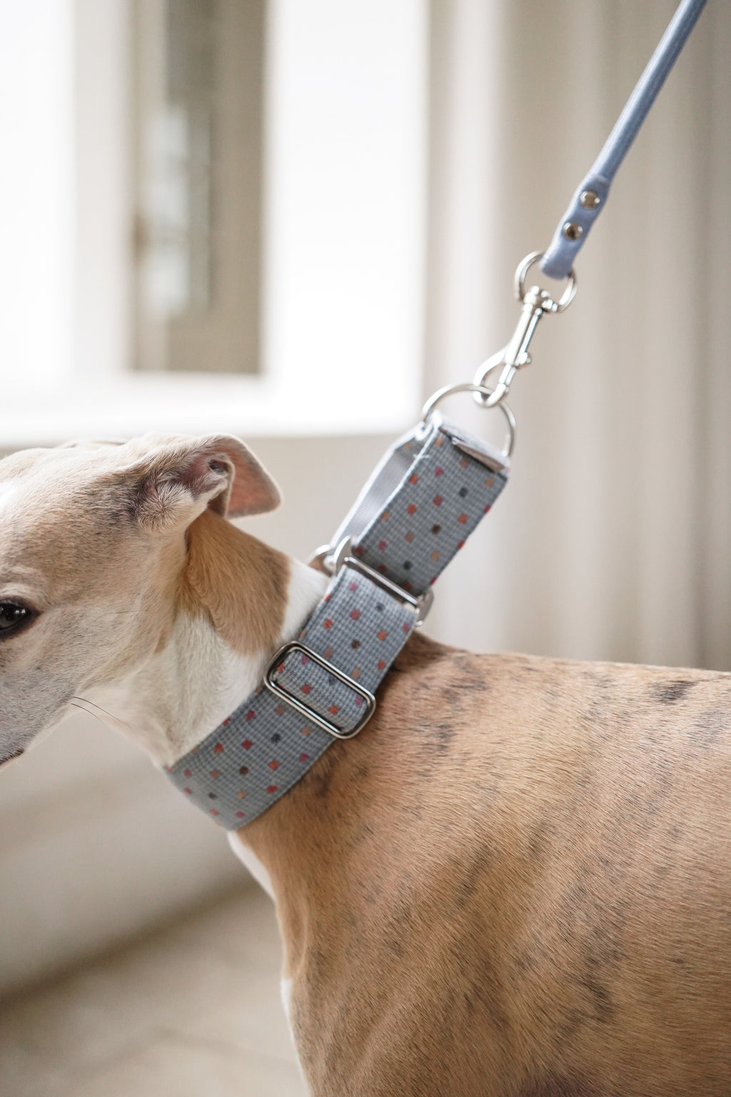 Martingale Collar Sky