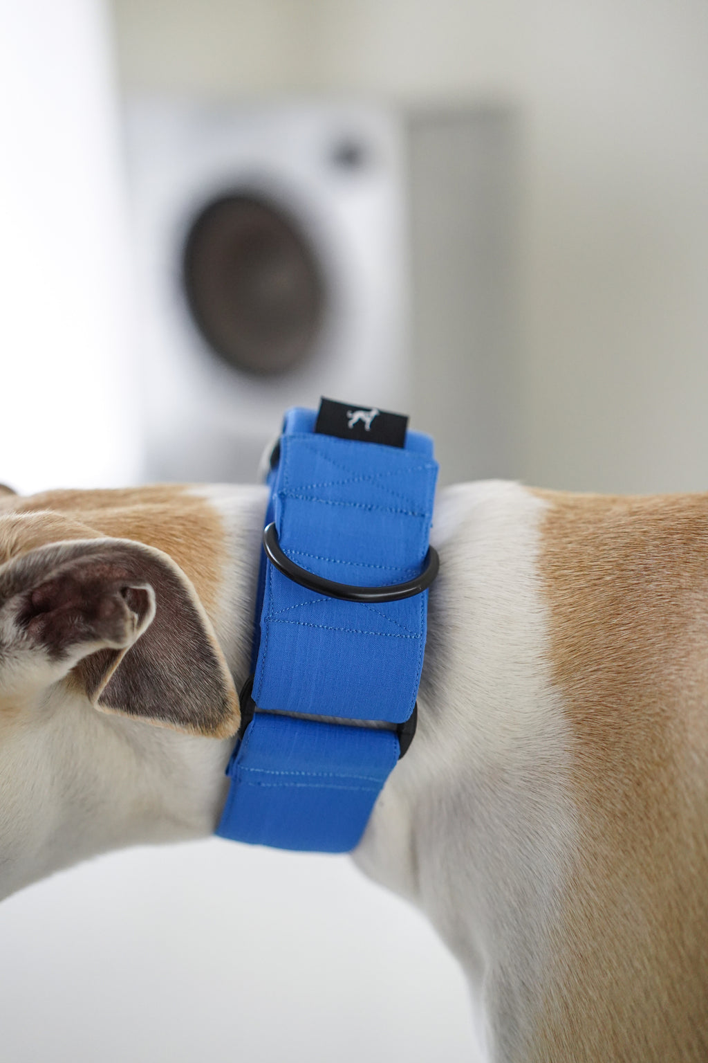 Lightweight Martingale Collar Klein Blue