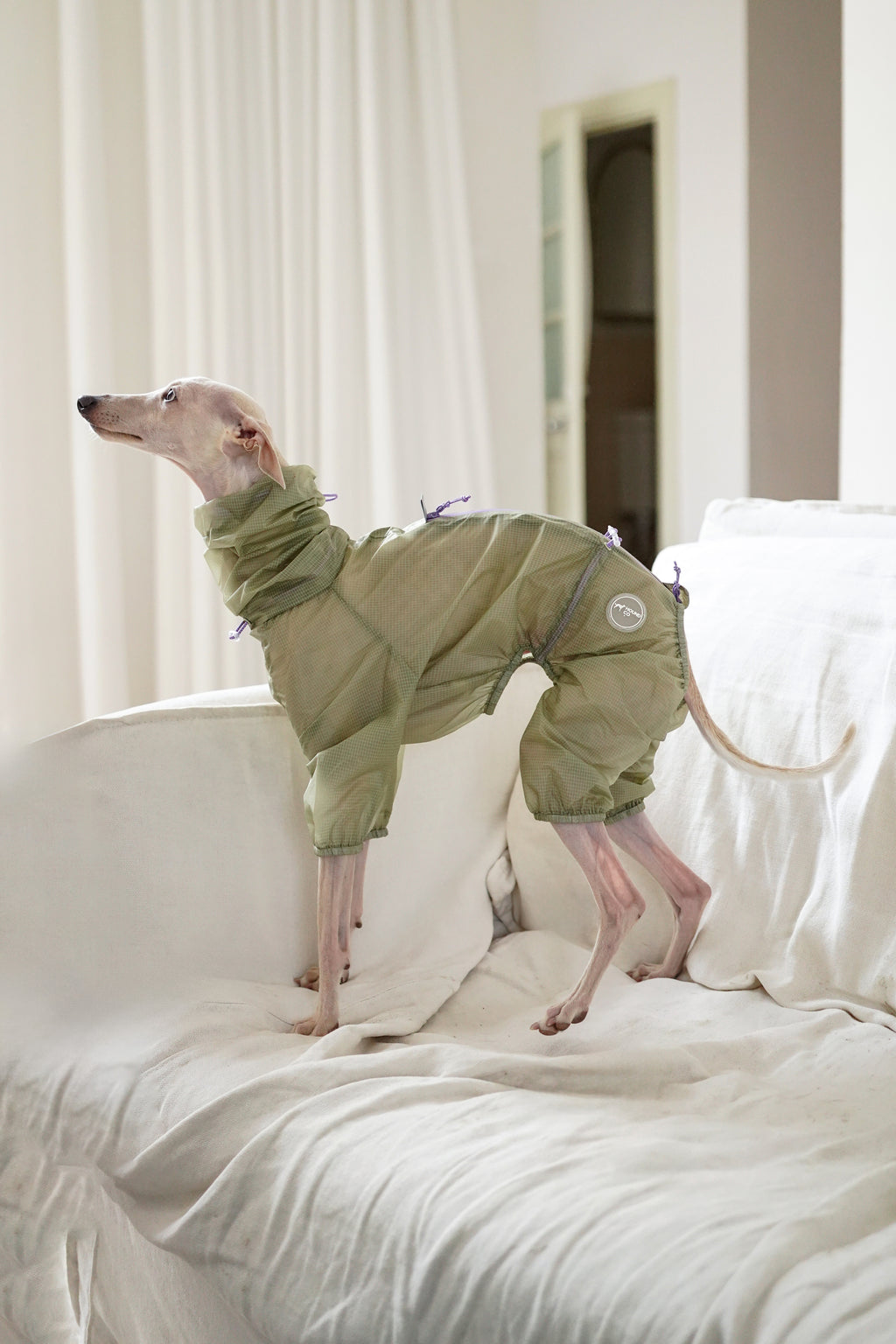 Light Shield Rain Jacket