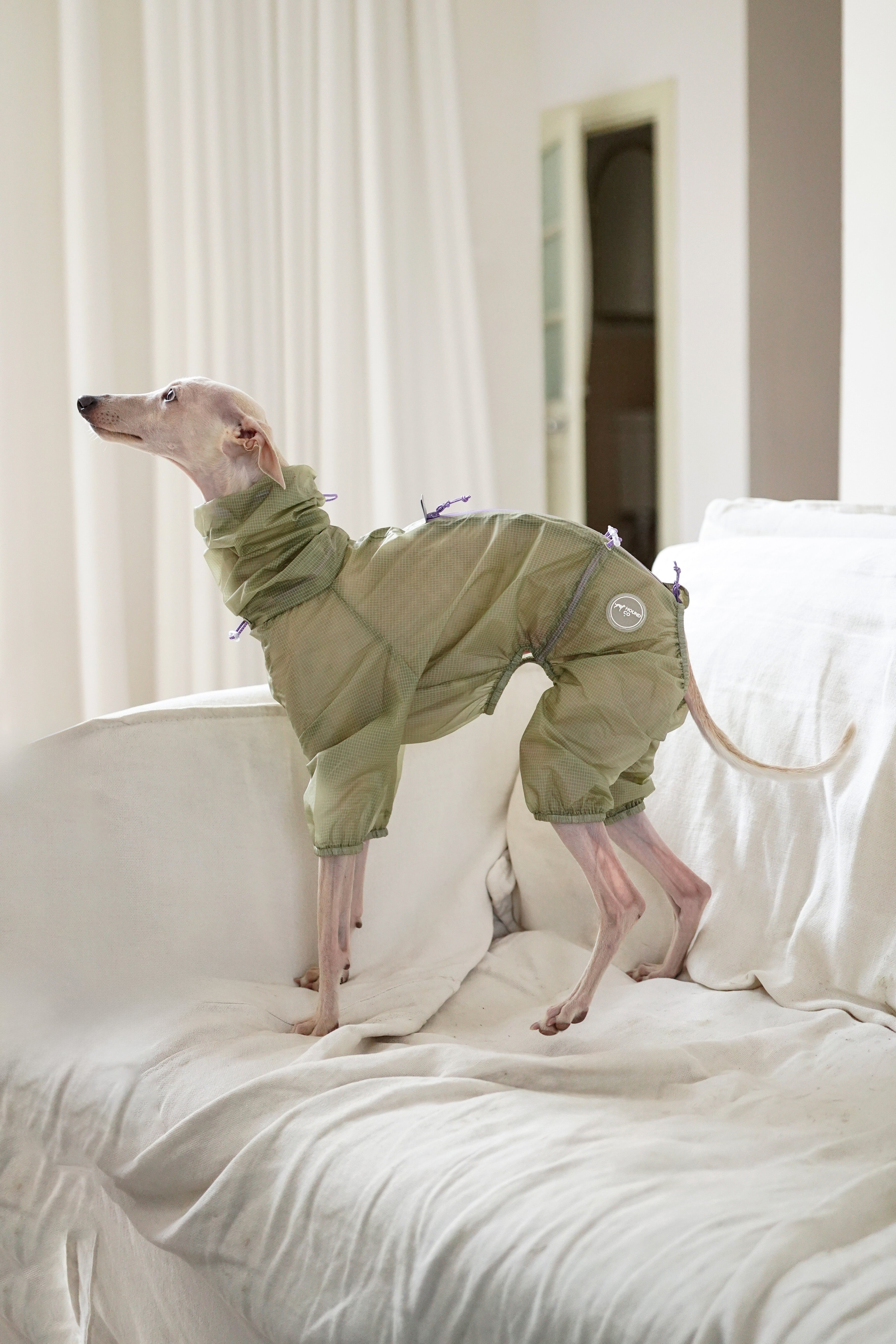 Light Shield Rain Jacket