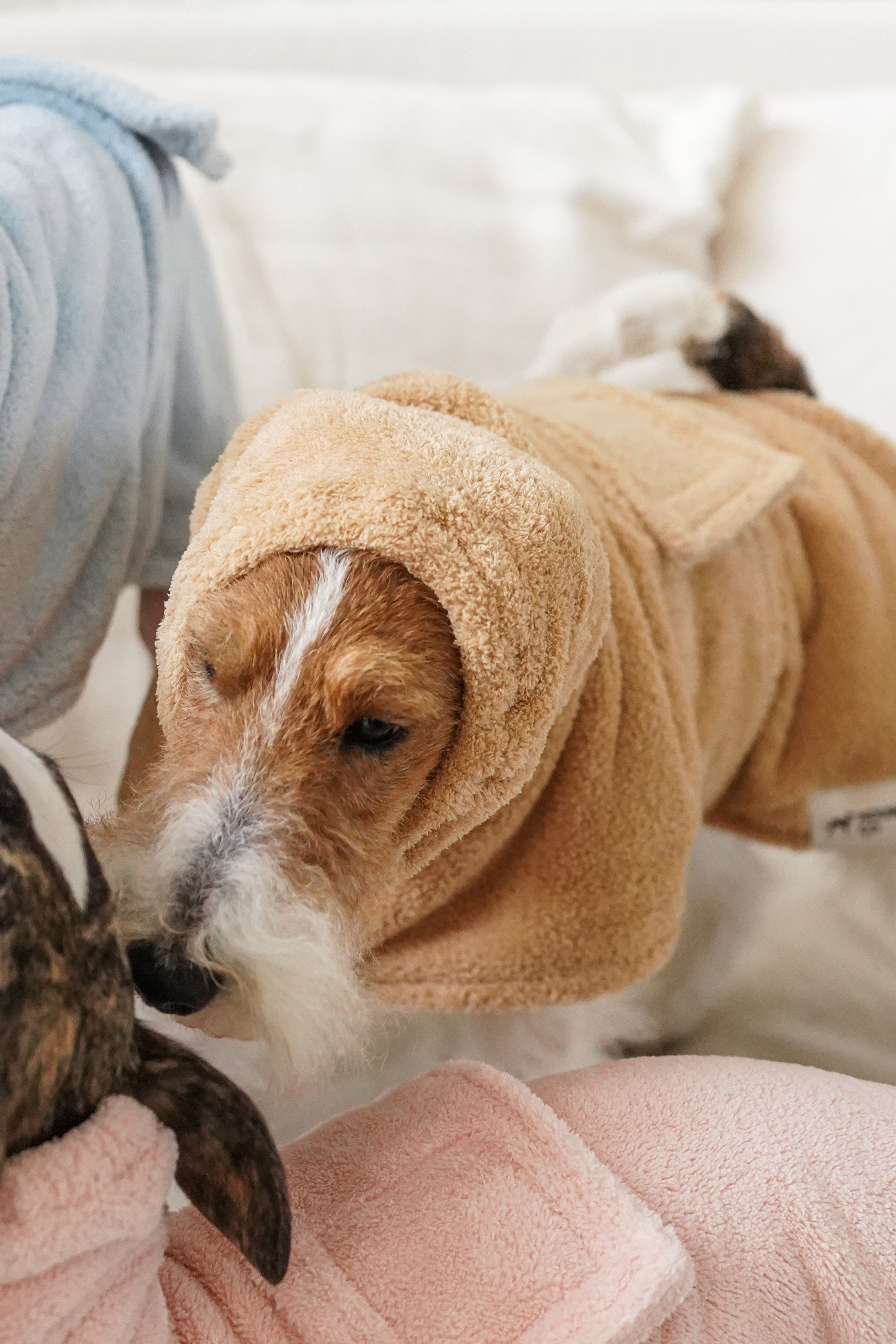 Plush Quick Dry Bath Robe