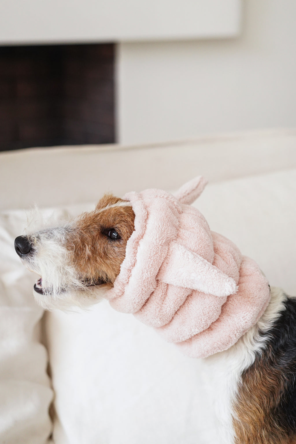 Noise-Reduction Pet Hood