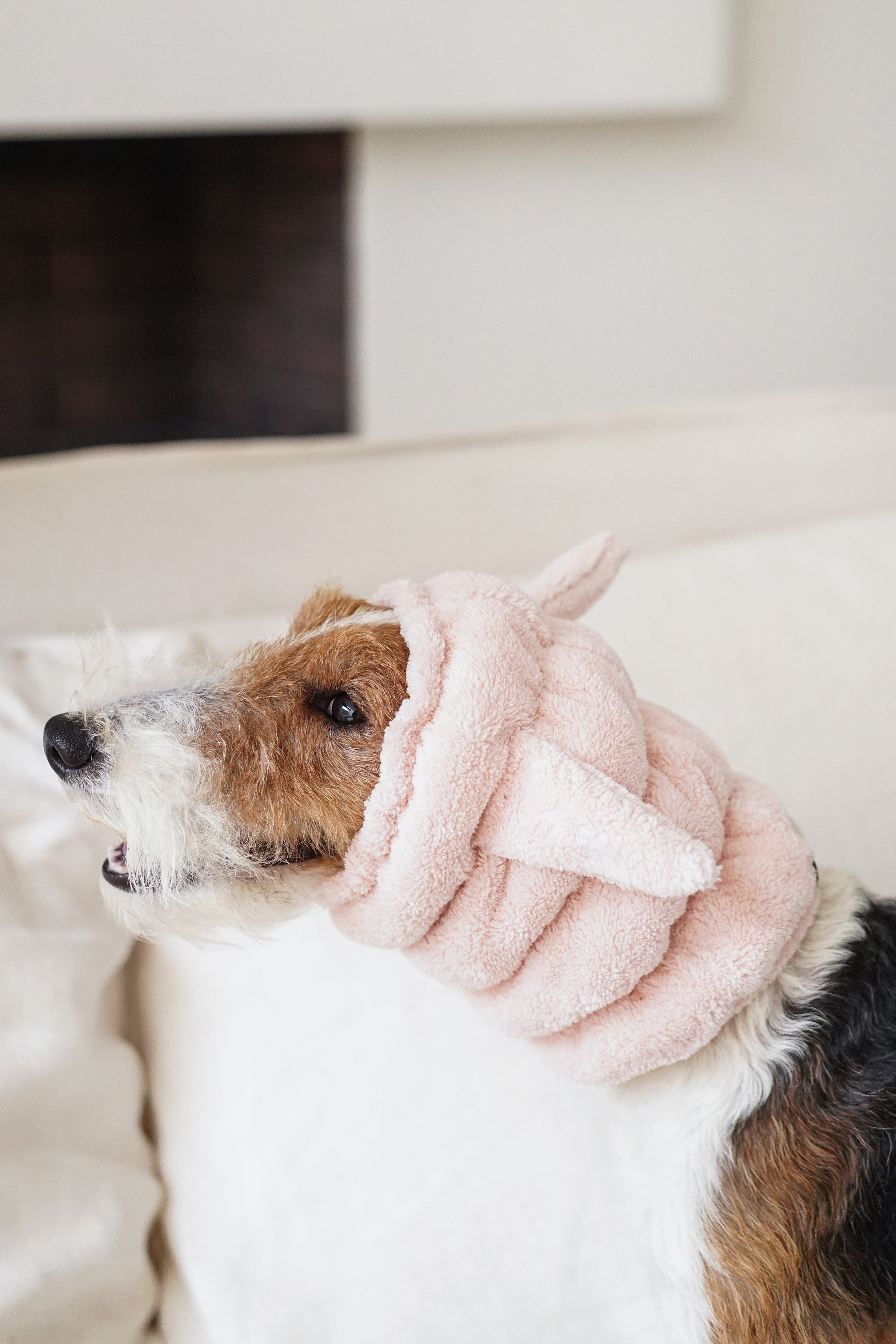 Noise-Reduction Pet Hood