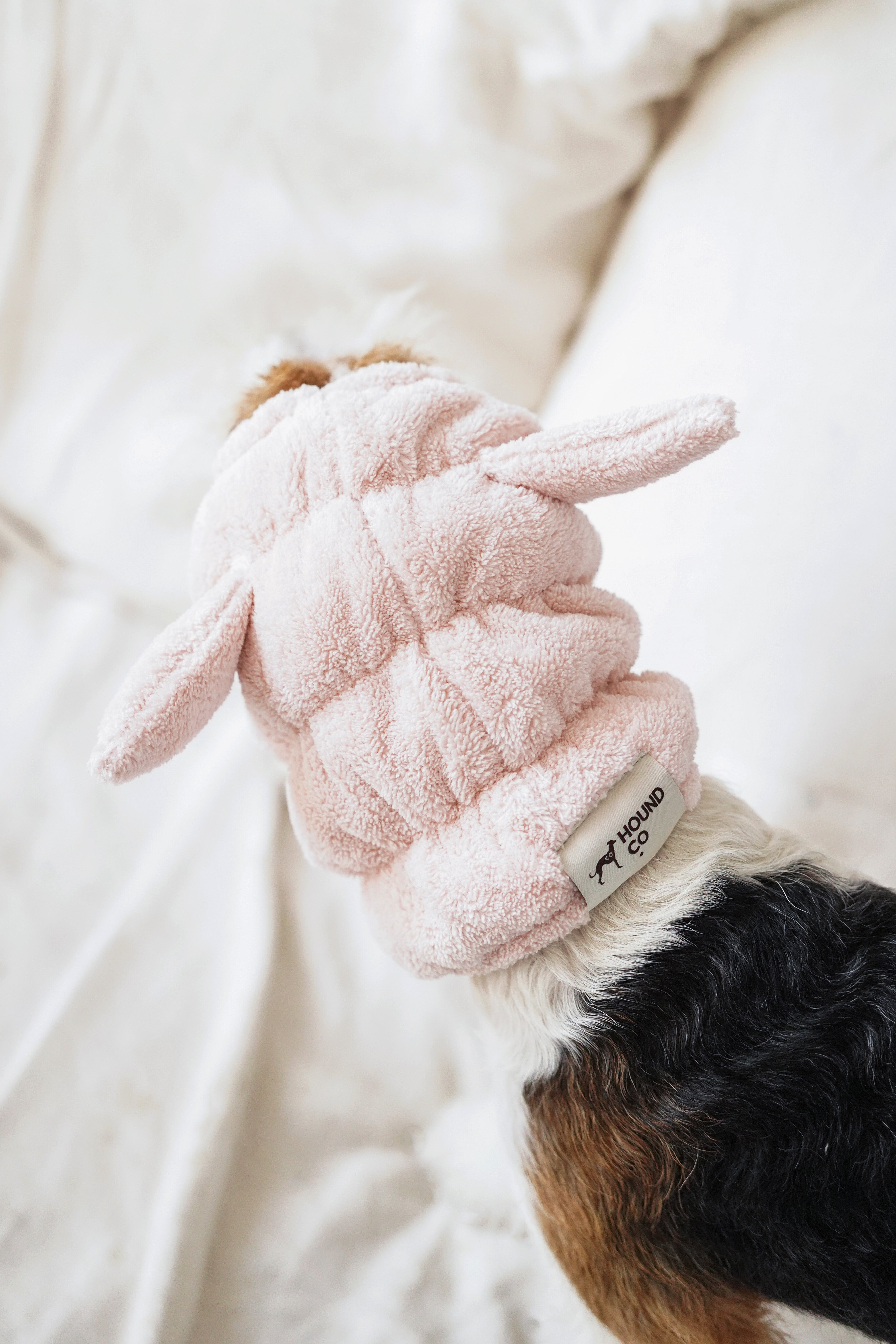 Noise-Reduction Pet Hood