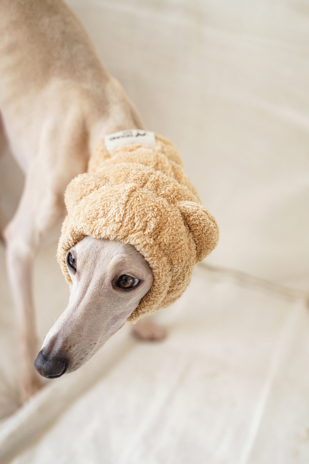 Noise-Reduction Pet Hood