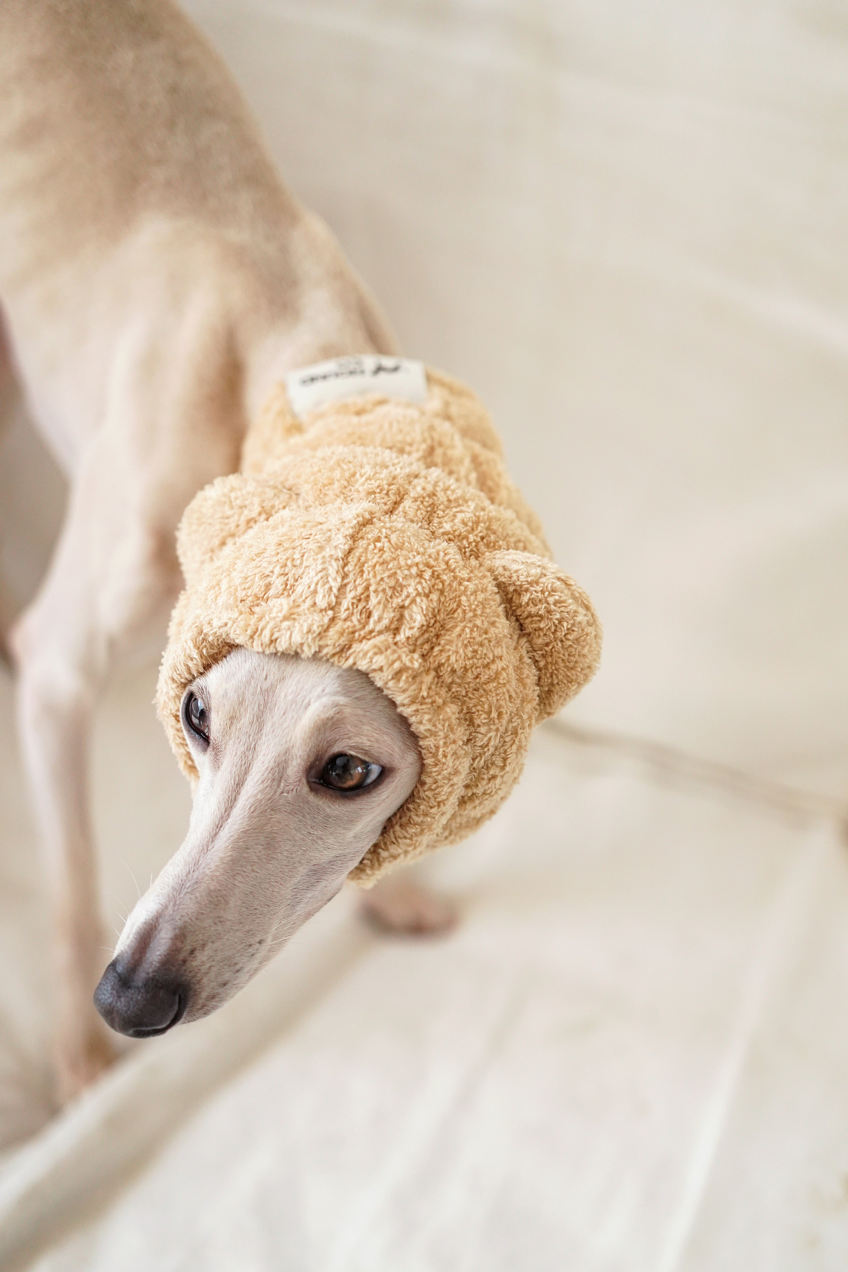Noise-Reduction Pet Hood