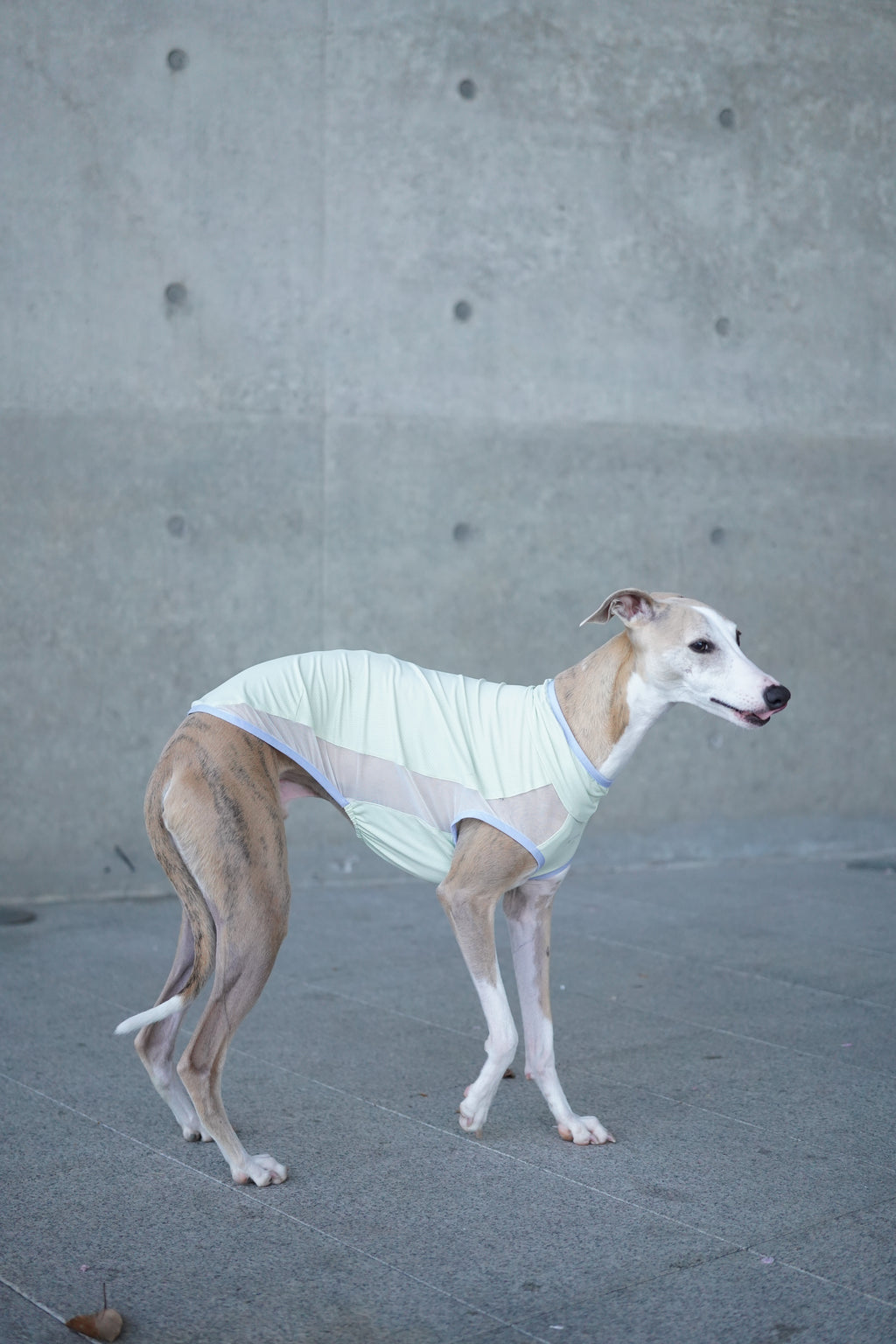 Air Cooling Vest