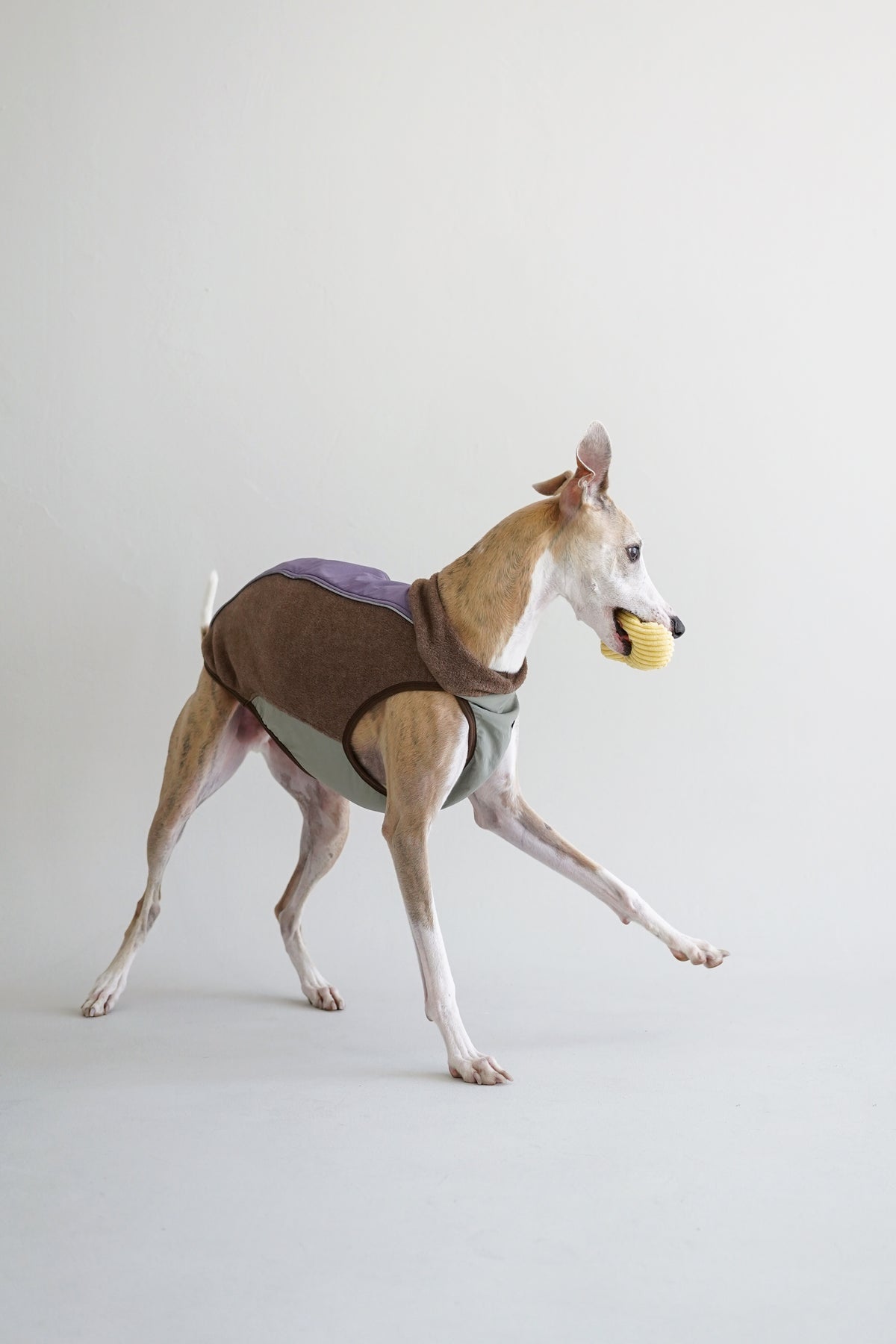 Light Outdoor Fleeced Vest