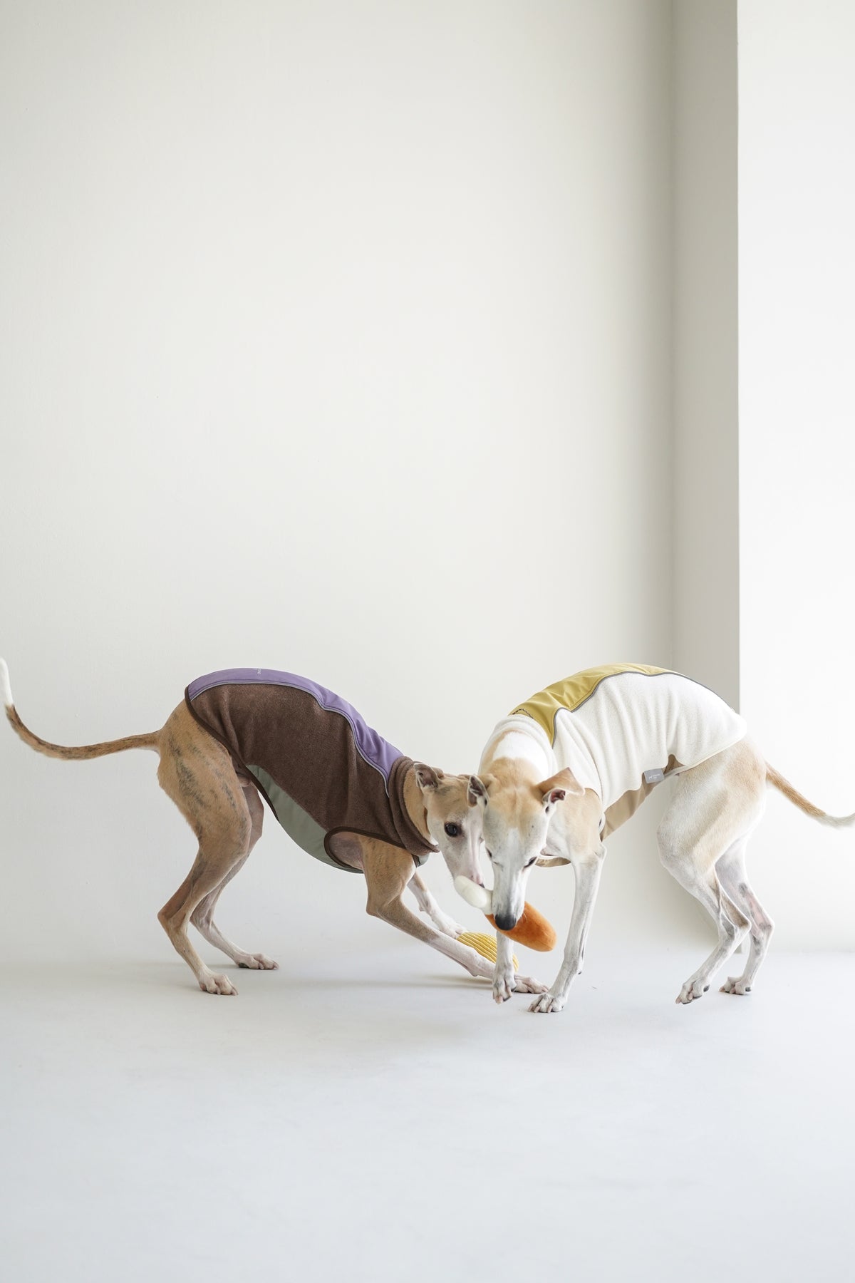 Light Outdoor Fleeced Vest