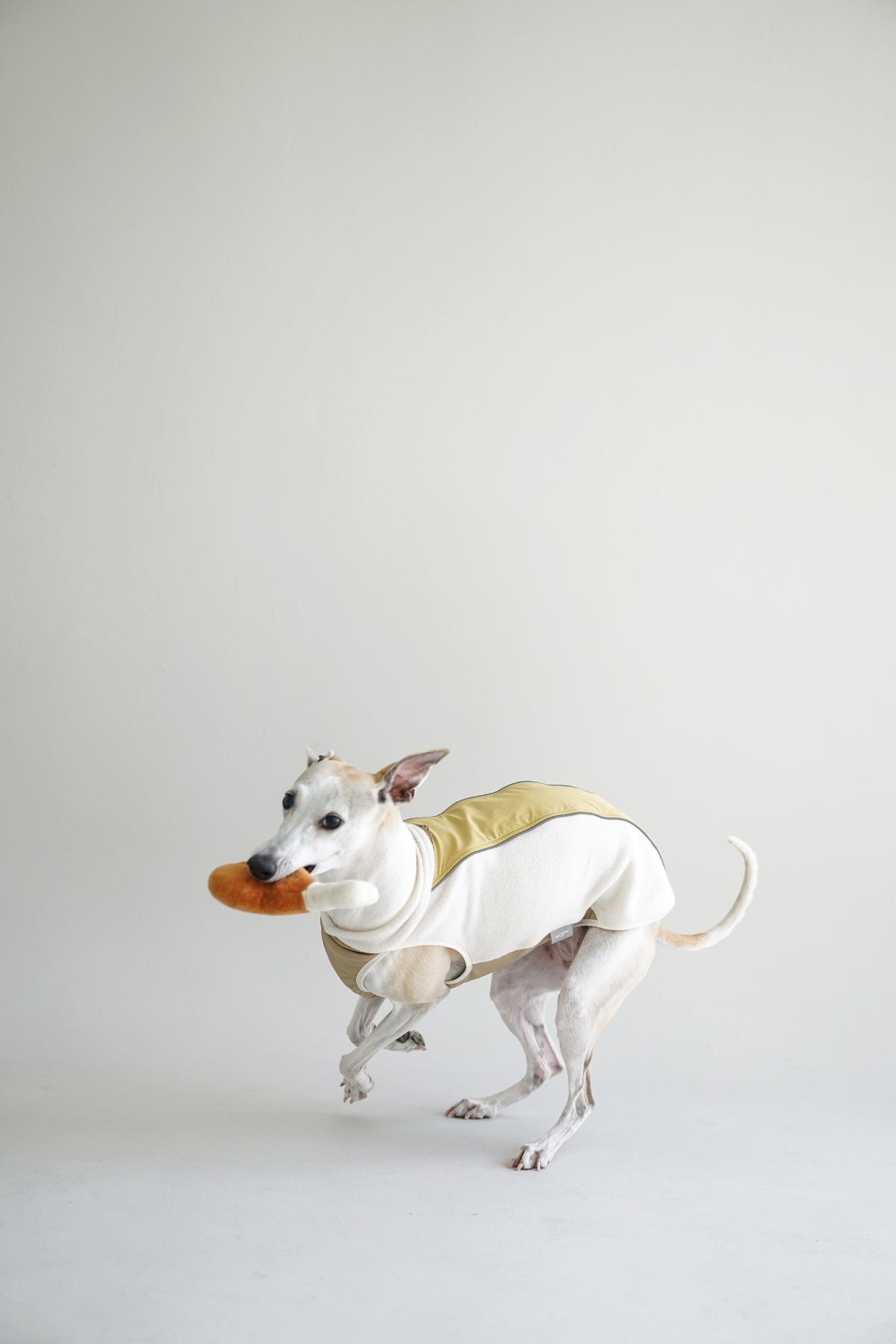 Light Outdoor Fleeced Vest