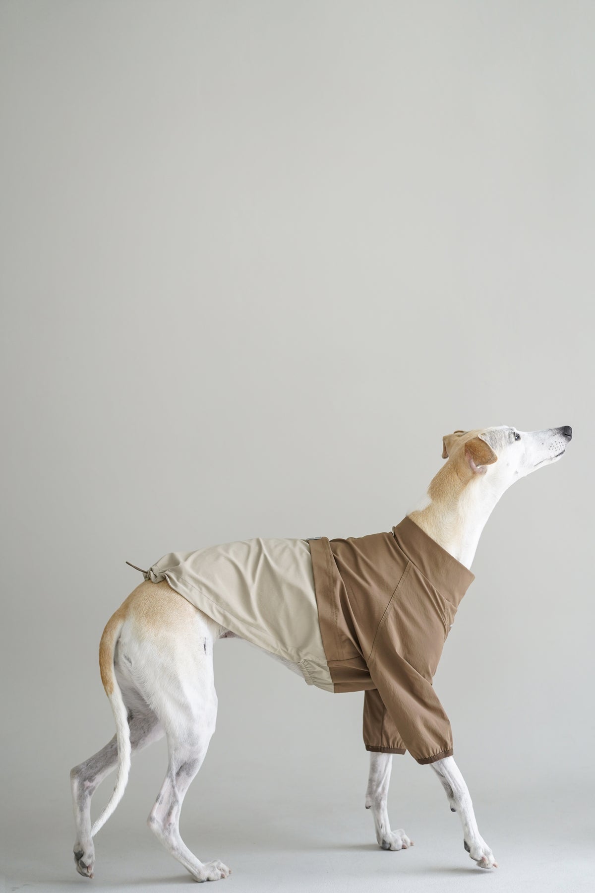 Roam Lite Quick-Dry Tee