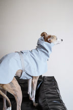 Fast wear raincoat for all breeds