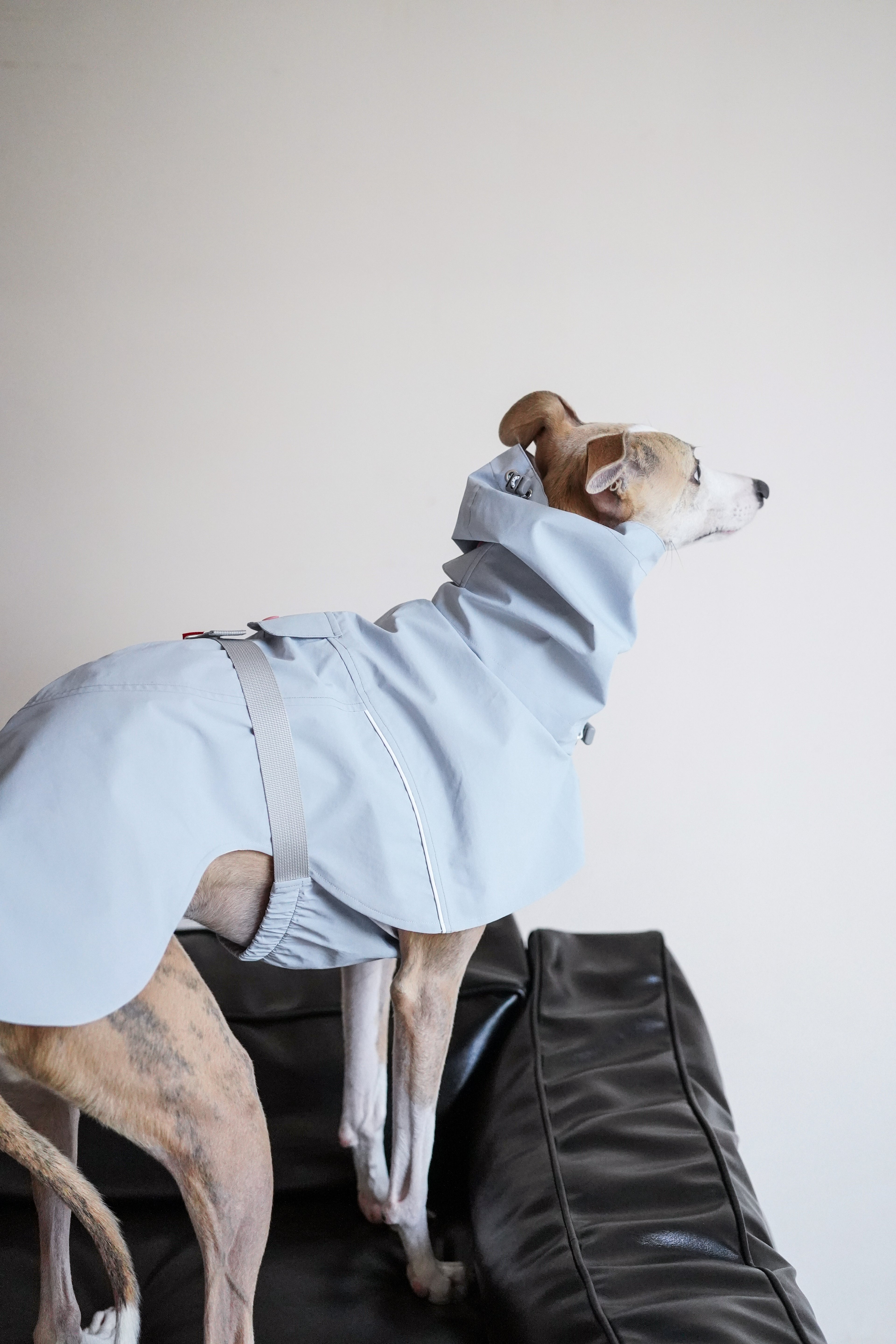 Fast wear raincoat for all breeds