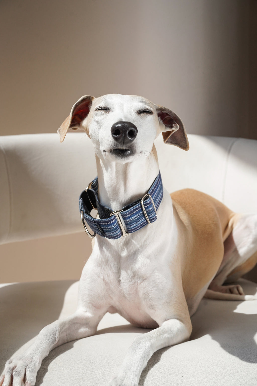 Martingale Collar Ocean depth