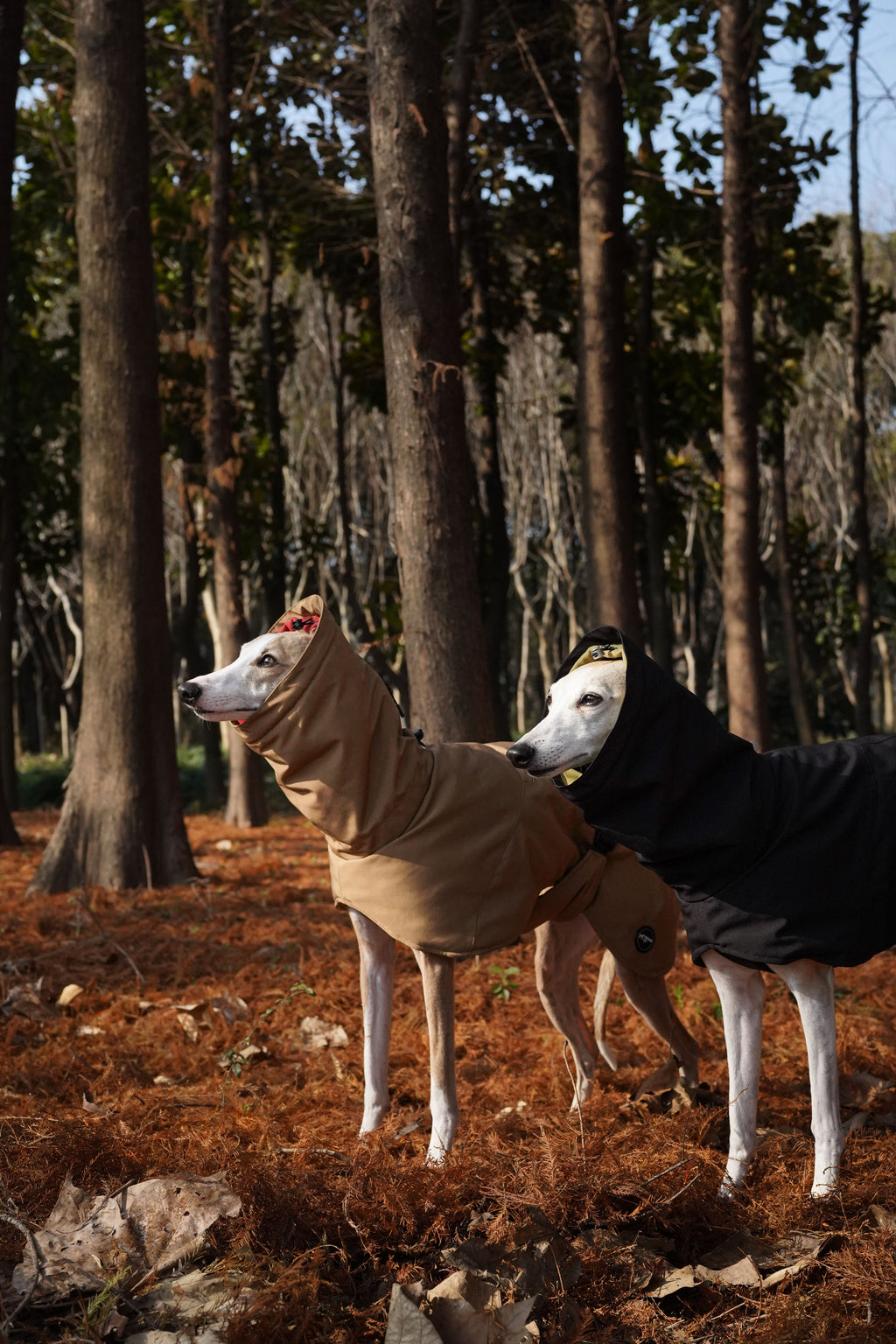 Bio-based Fiber Insulated Sighthound Coat