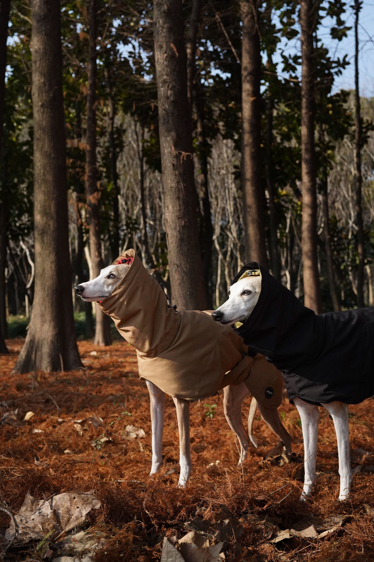 Bio-based Fiber Insulated Sighthound Coat