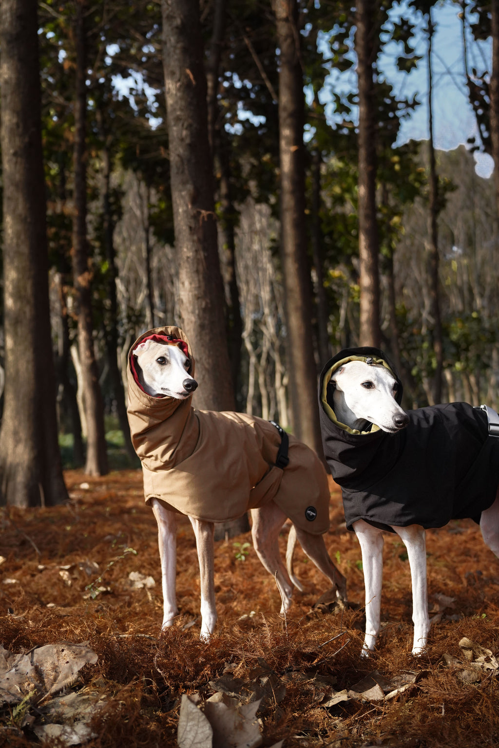 Bio-based Fiber Insulated Sighthound Coat