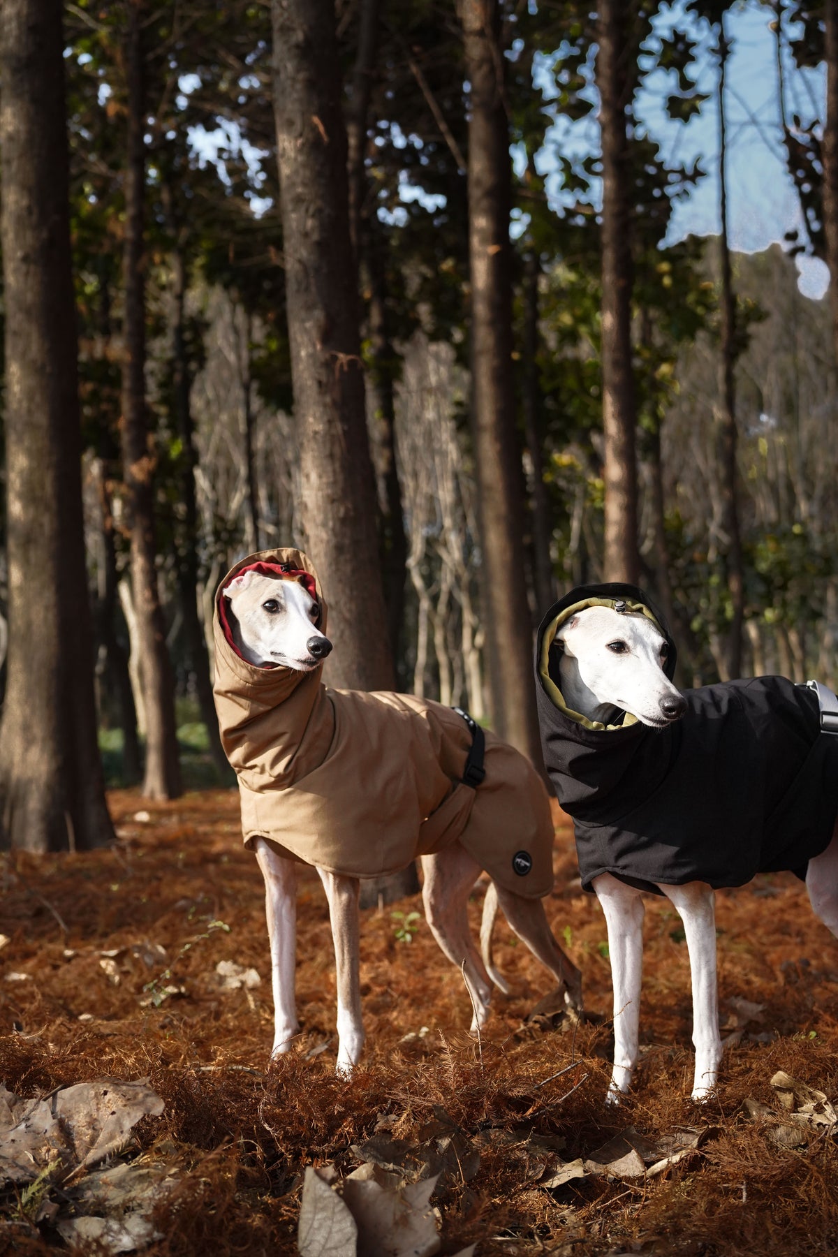 Bio-based Fiber Insulated Sighthound Coat