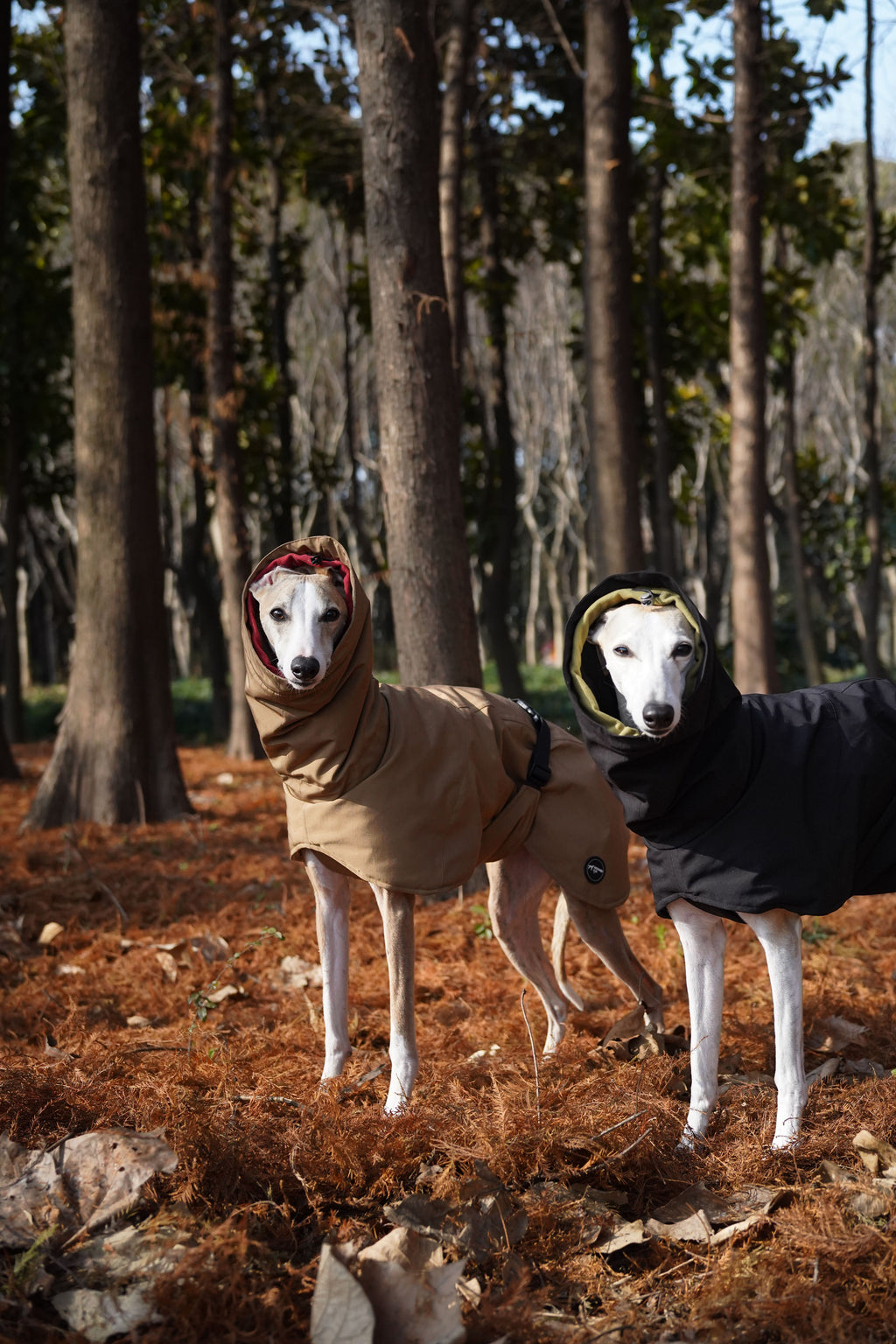 Bio-based Fiber Insulated Sighthound Coat