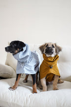 Fast wear raincoat for all breeds