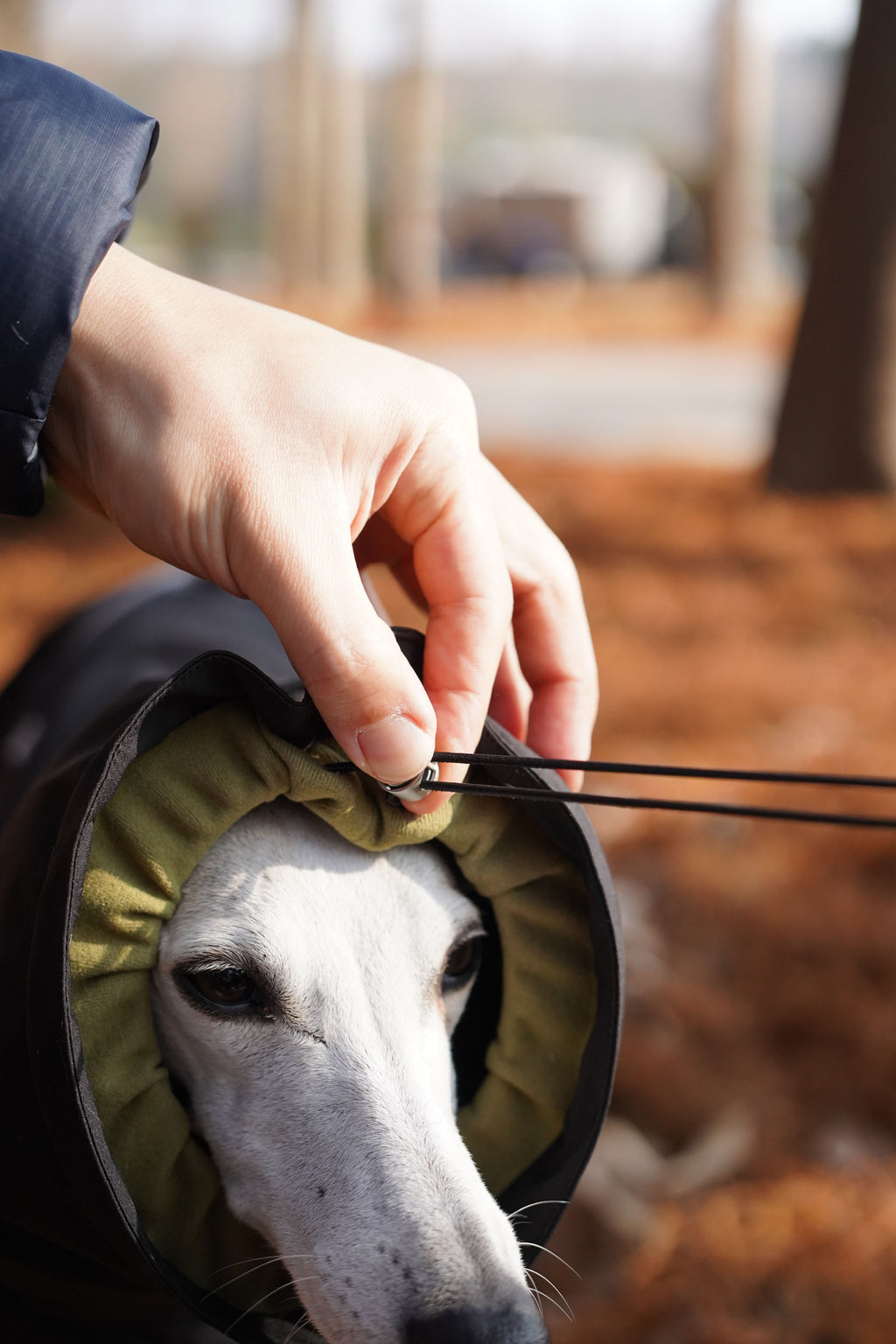 Bio-based Fiber Insulated Sighthound Coat