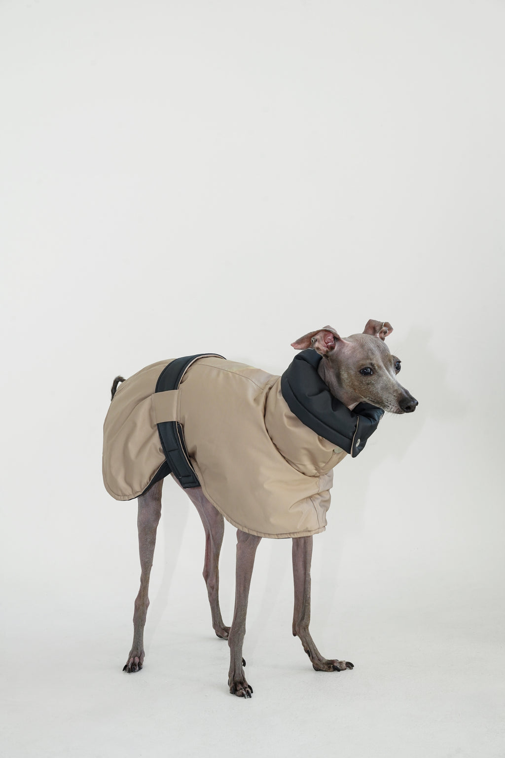 Reversible Puffer Cape