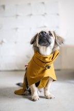 Fast wear raincoat for all breeds