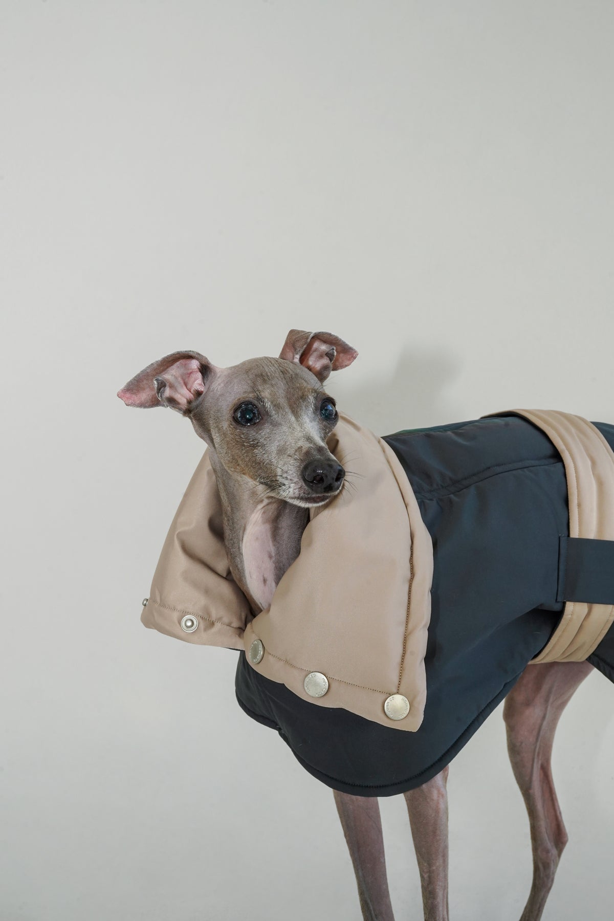 Reversible Puffer Cape