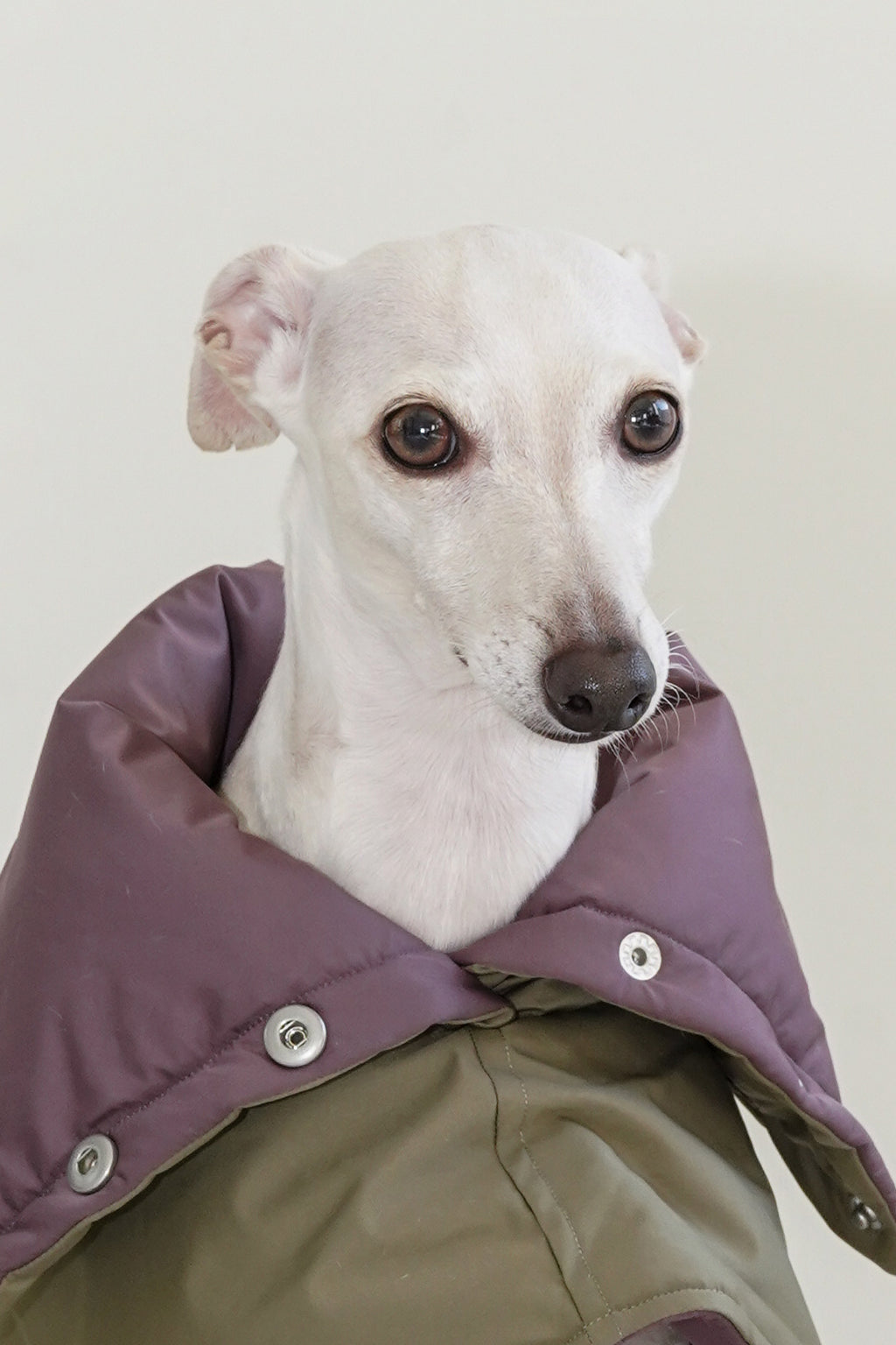 Reversible Puffer Cape