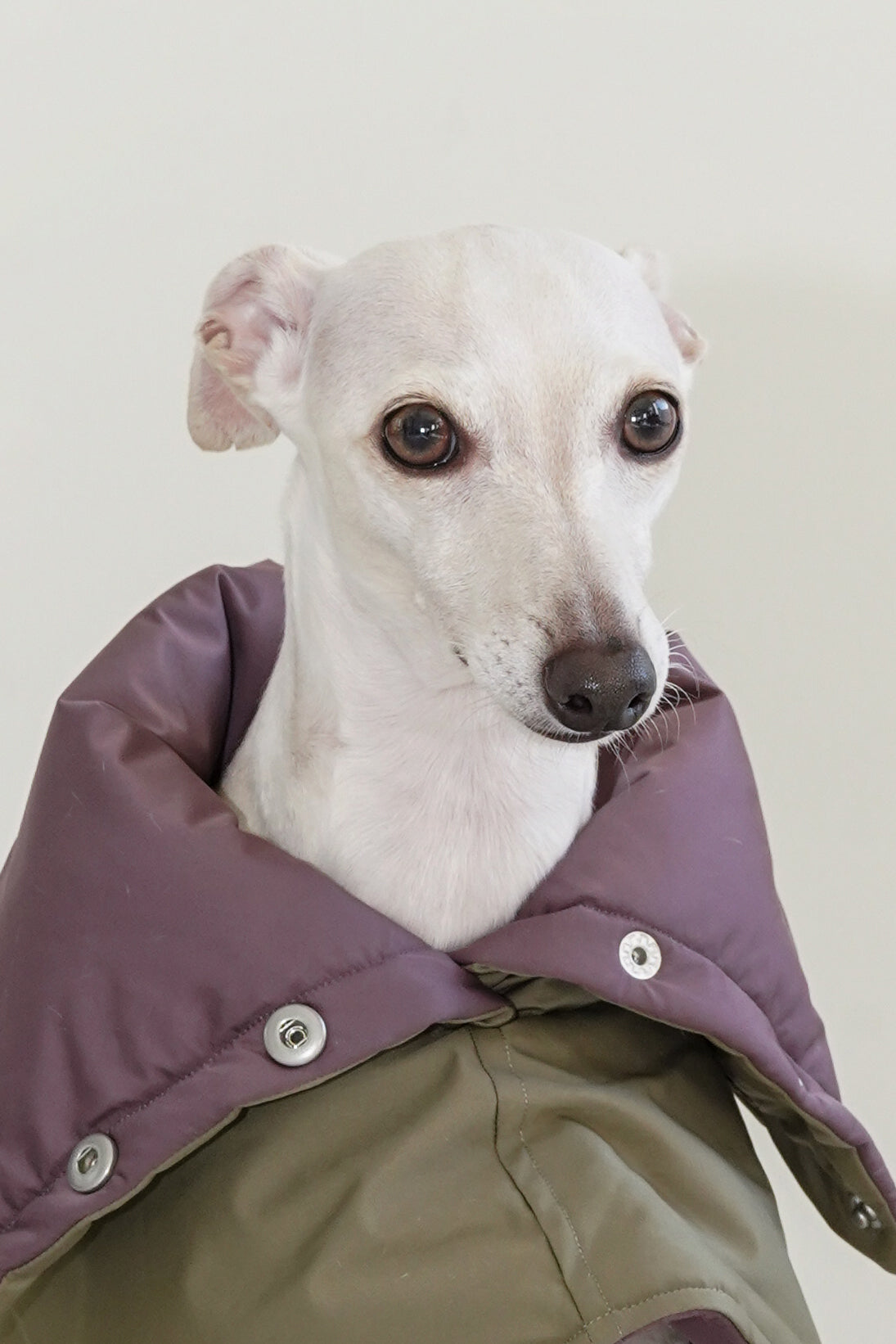 Reversible Puffer Cape