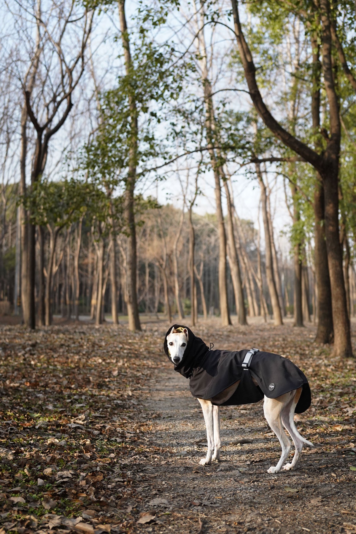 Bio-based Fiber Insulated Sighthound Coat
