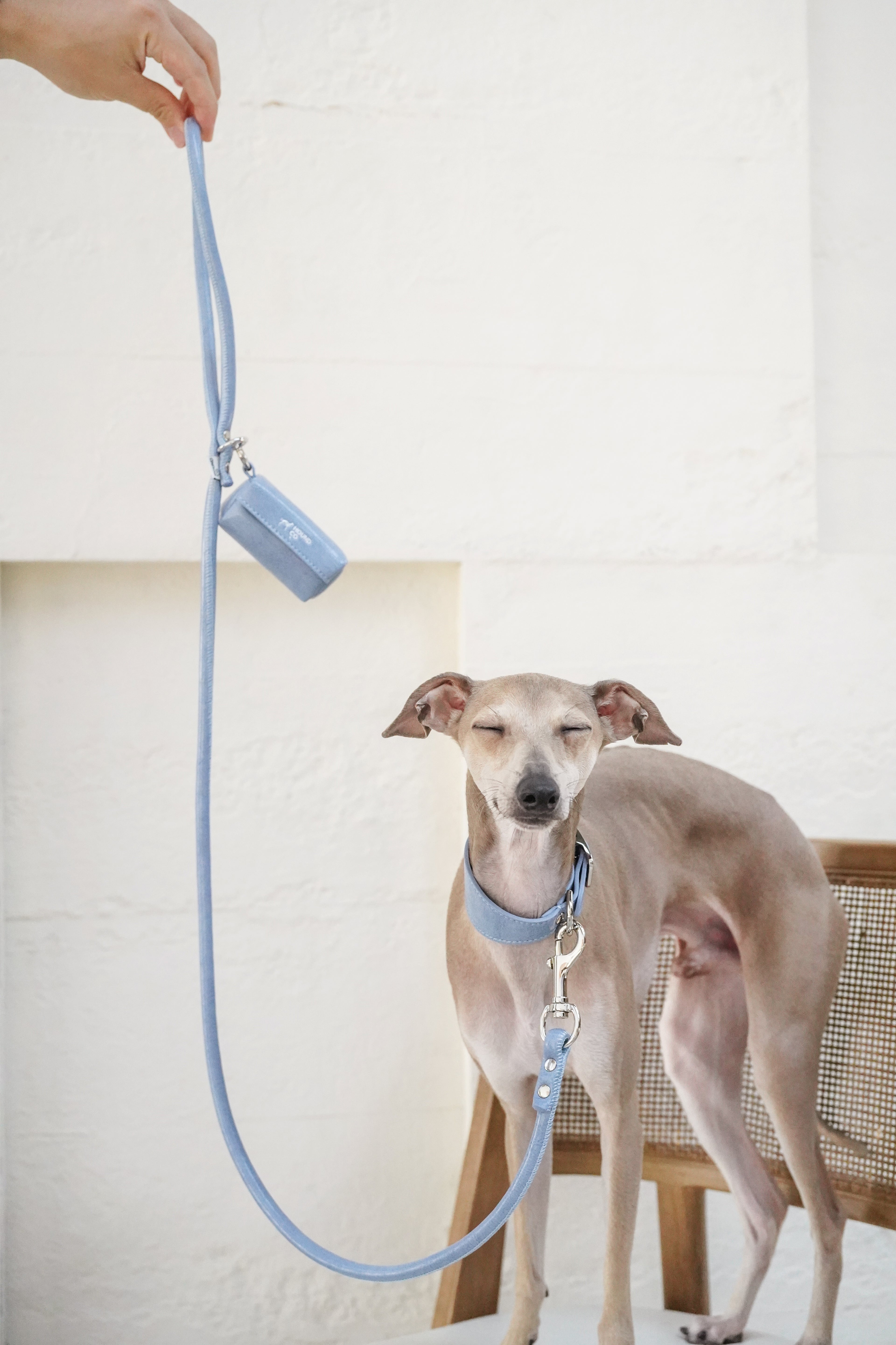 Denim Blue Vegan Leash