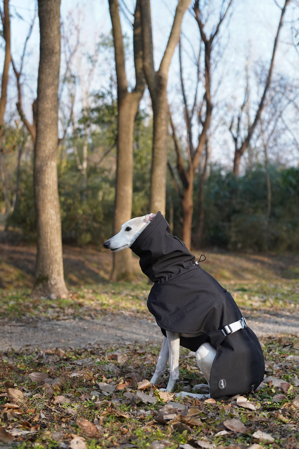 Bio-based Fiber Insulated Sighthound Coat