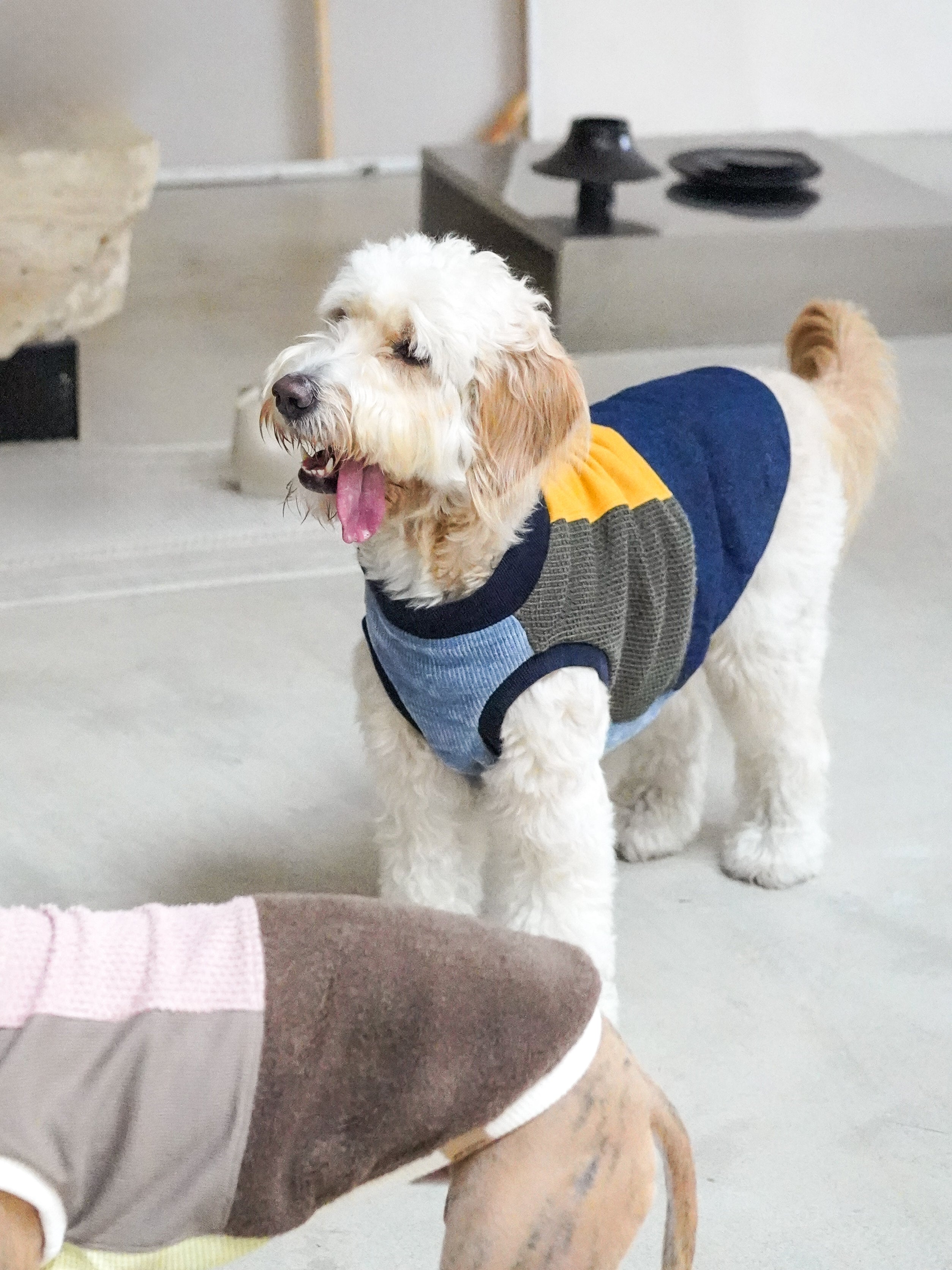 Fun sweater vest for all breeds