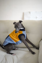 Fun sweater vest for all breeds