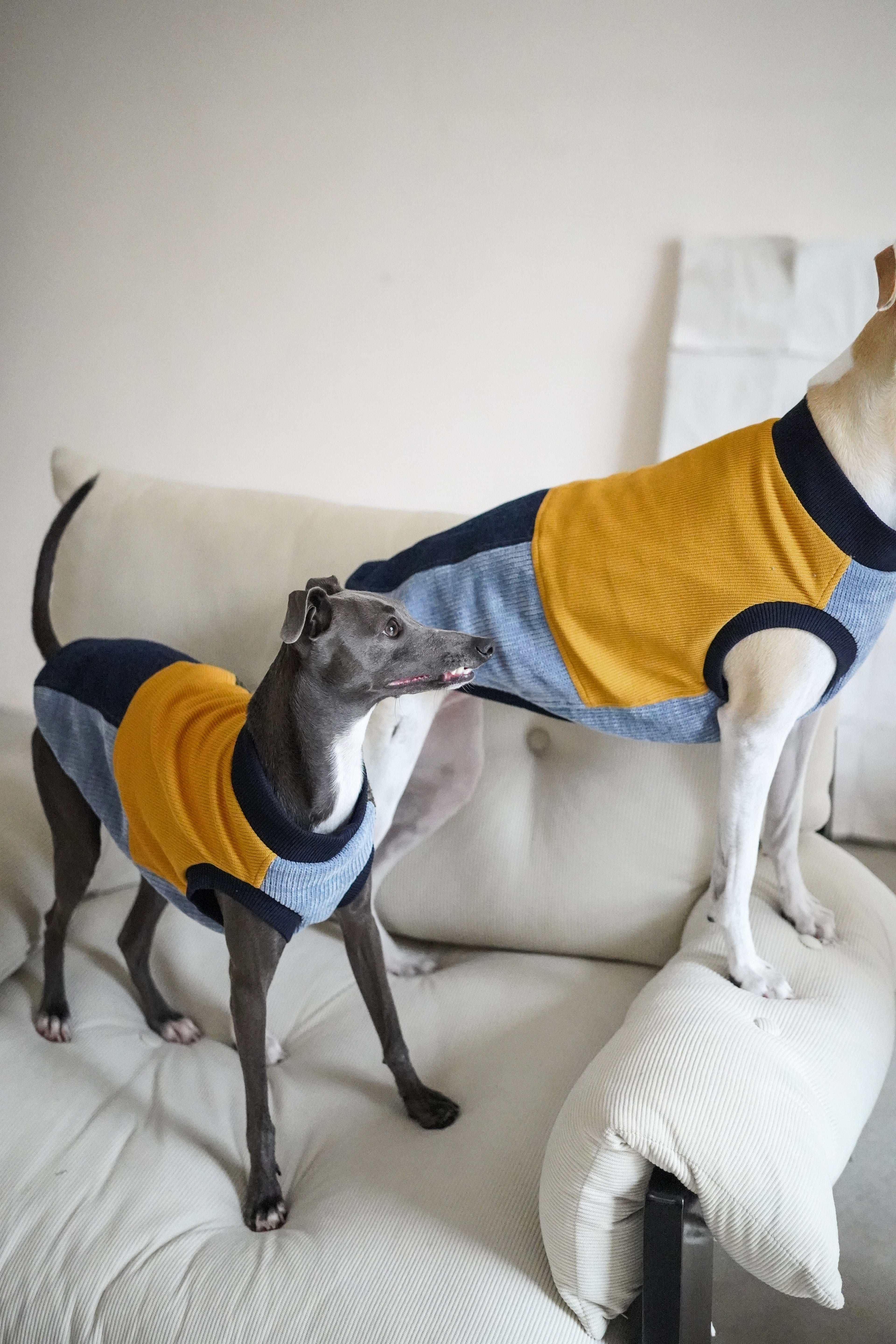 Fun sweater vest for all breeds