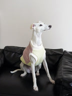 Fun sweater vest for all breeds