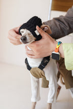 Wool knit hat「Ink Black」