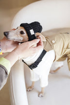 Wool knit hat「Ink Black」