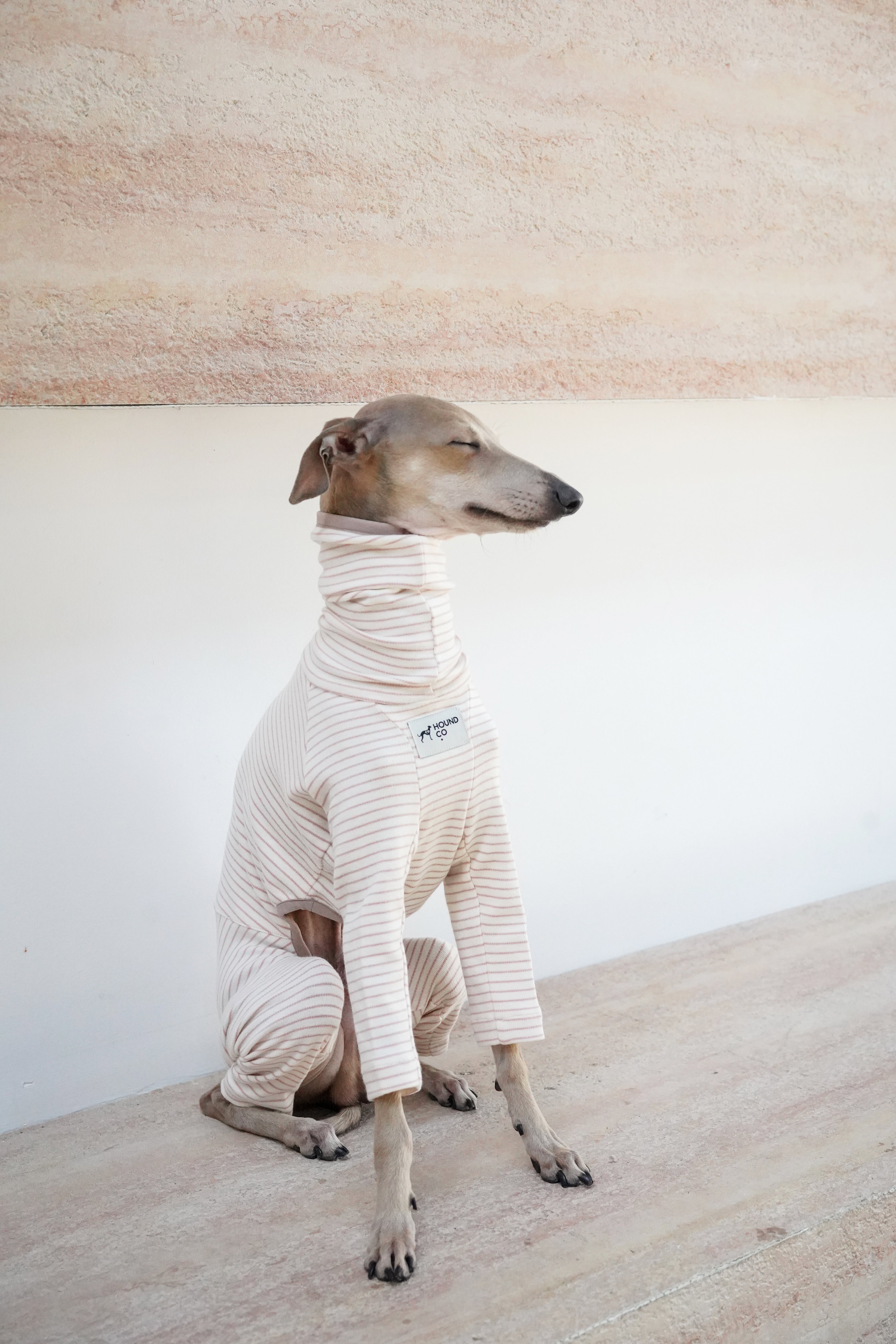 Sighthound cozy stripes onsie