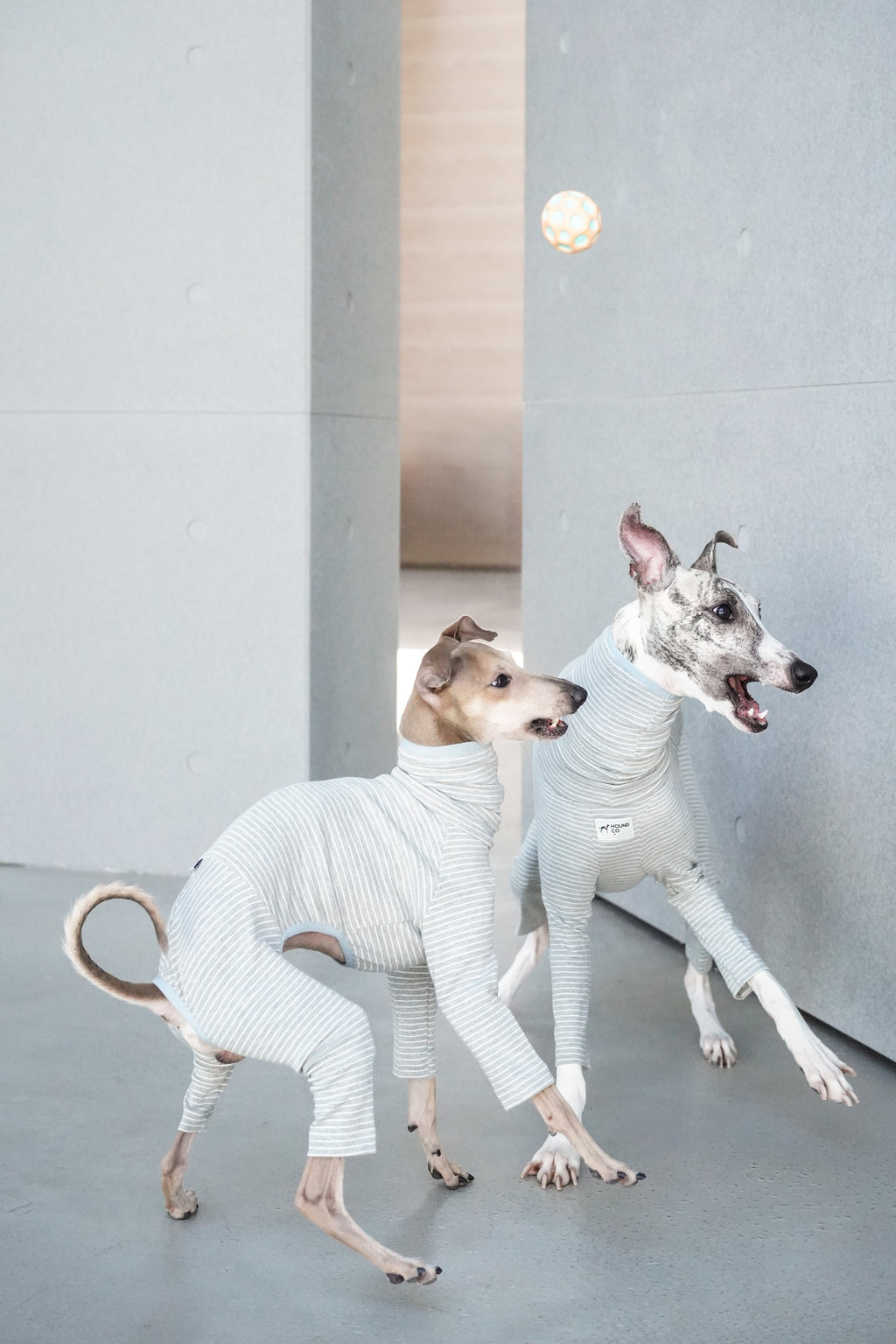 Sighthound cozy stripes onsie